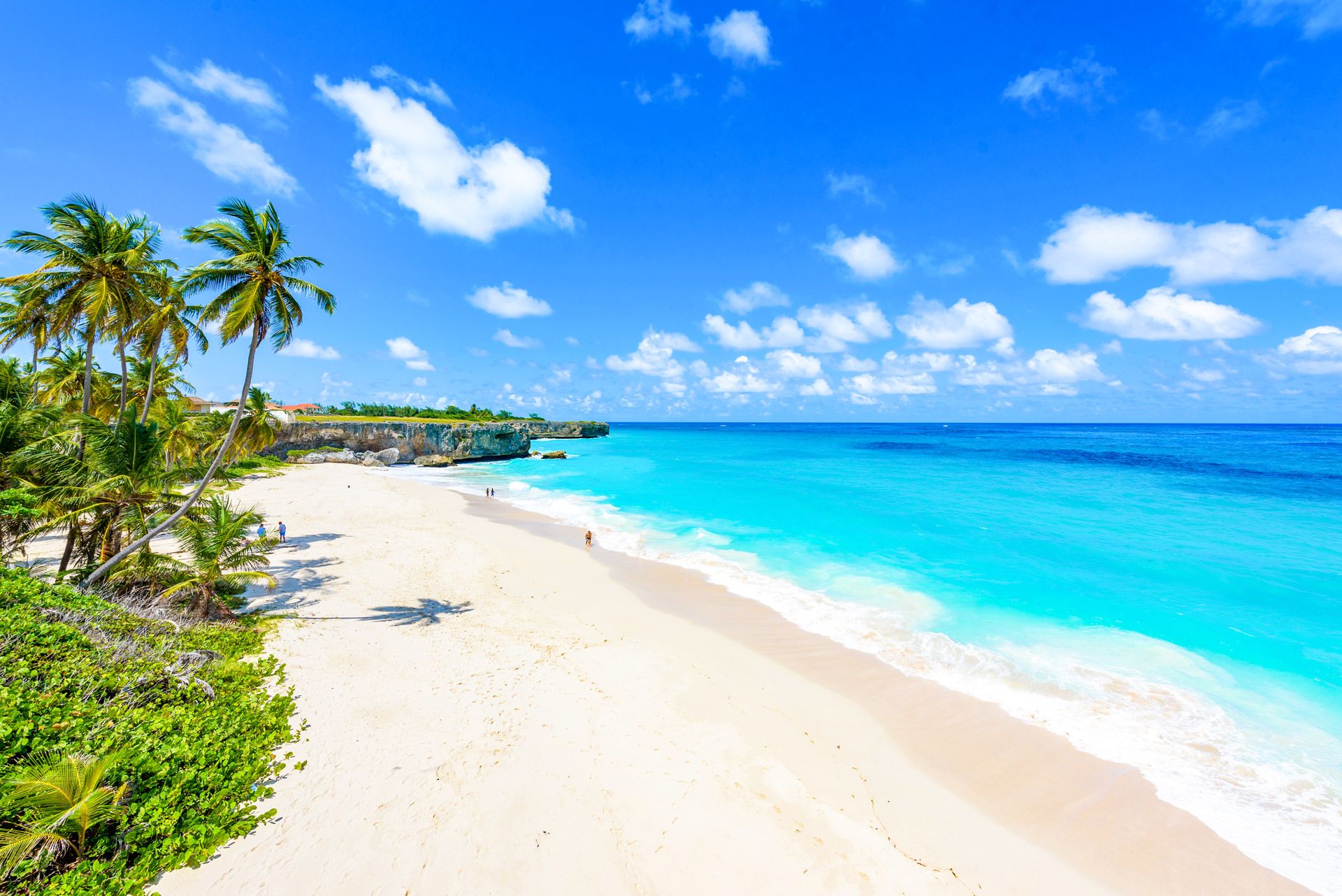 Things To Do In Barbados