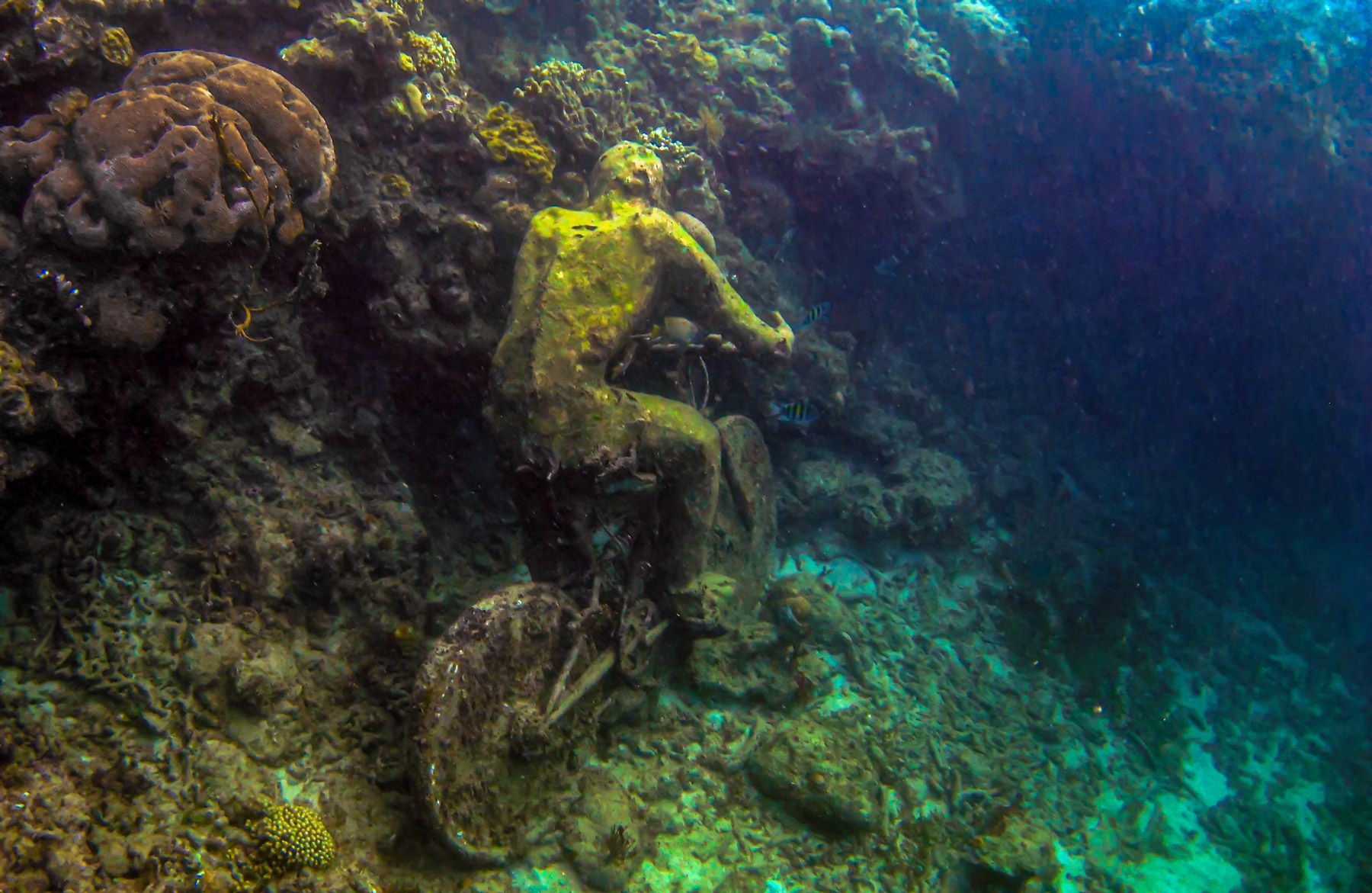 Exploring Grenada's underwater sculpture park