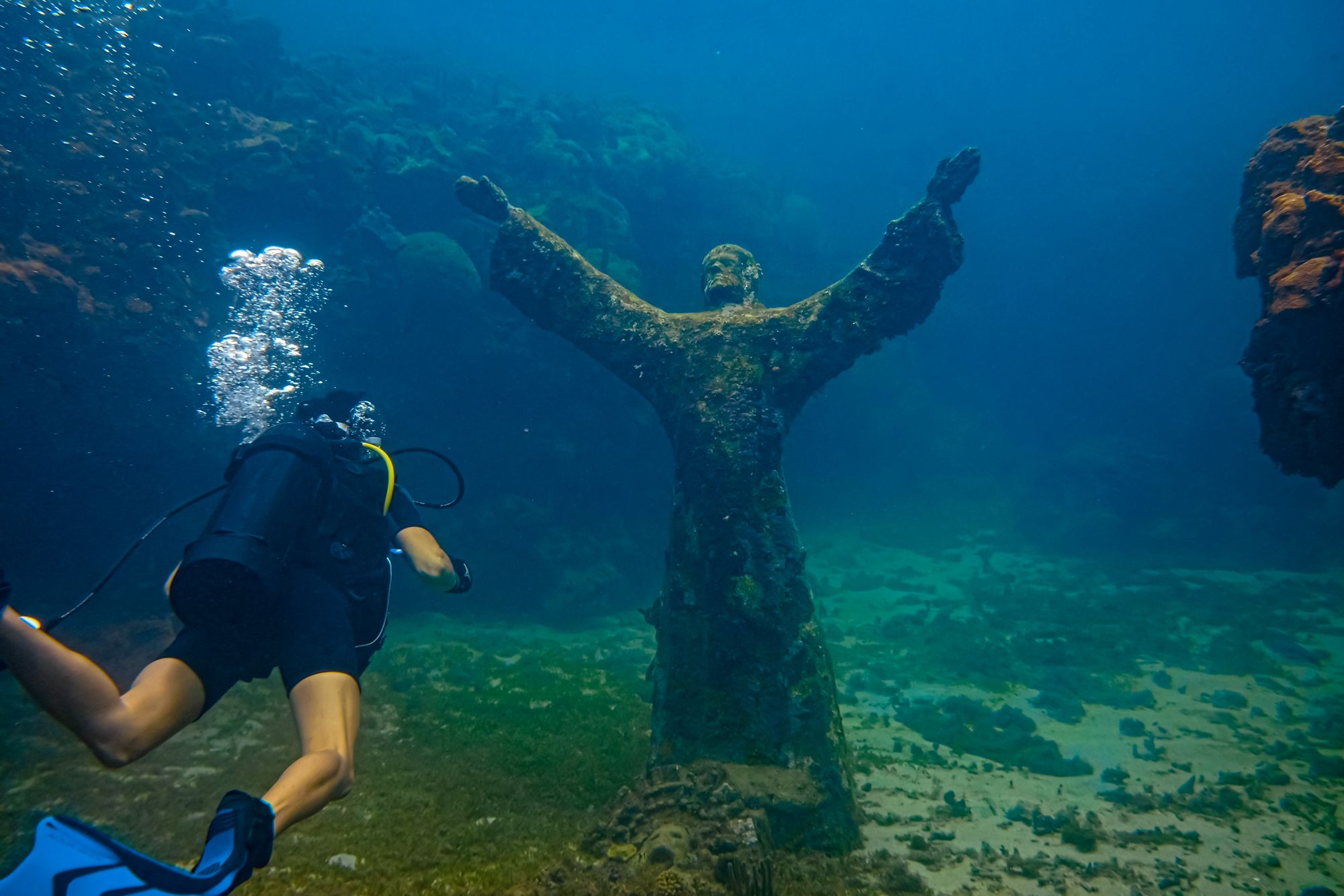 Grenada Underwater Sculpture Park, Info & Guide