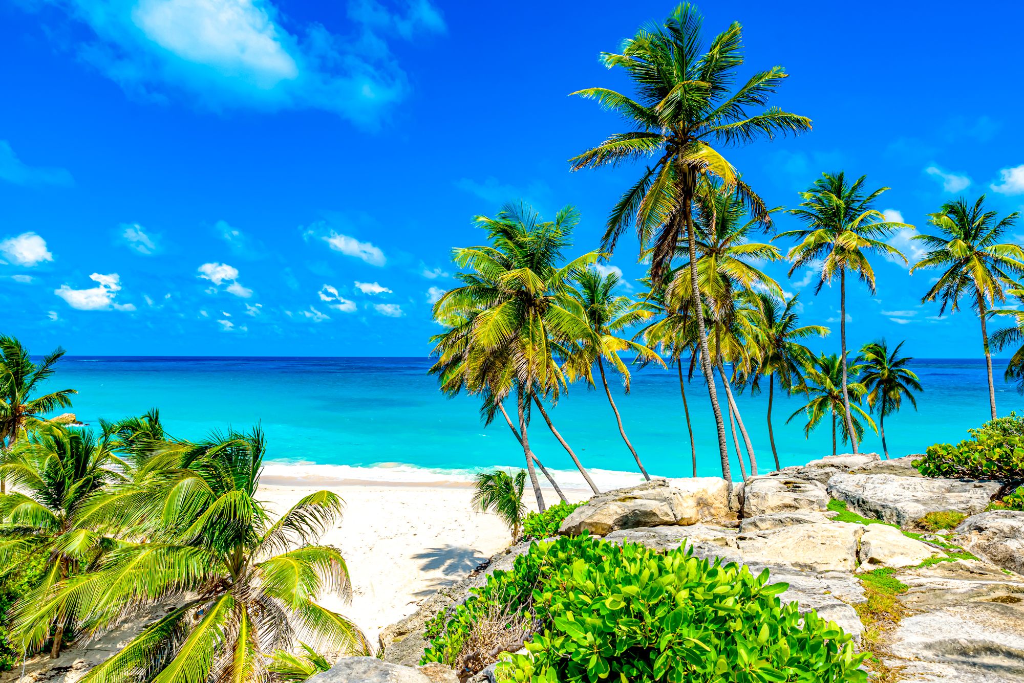 best tourist attractions in barbados
