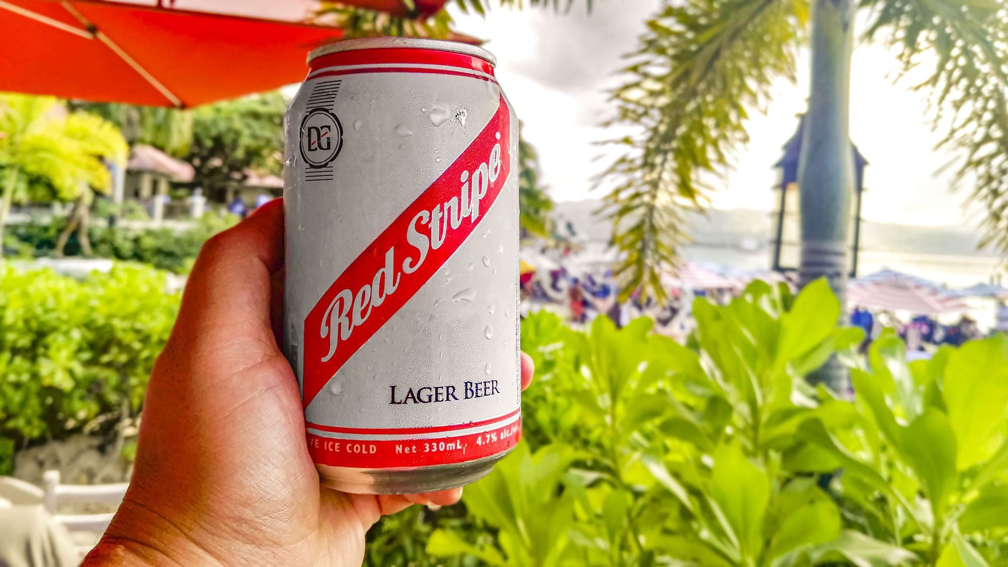 32 Most Popular Caribbean Beers By Country SANDALS