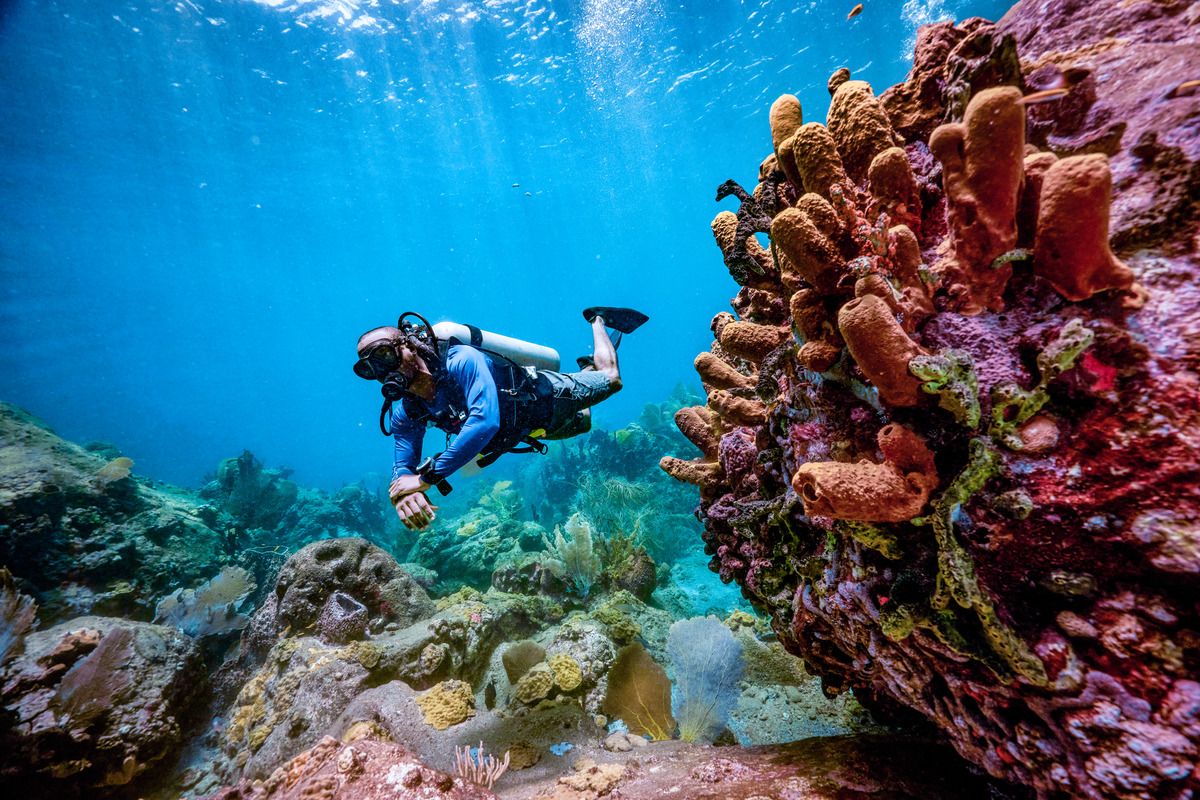 Buceo en Grenada: Qué esperar