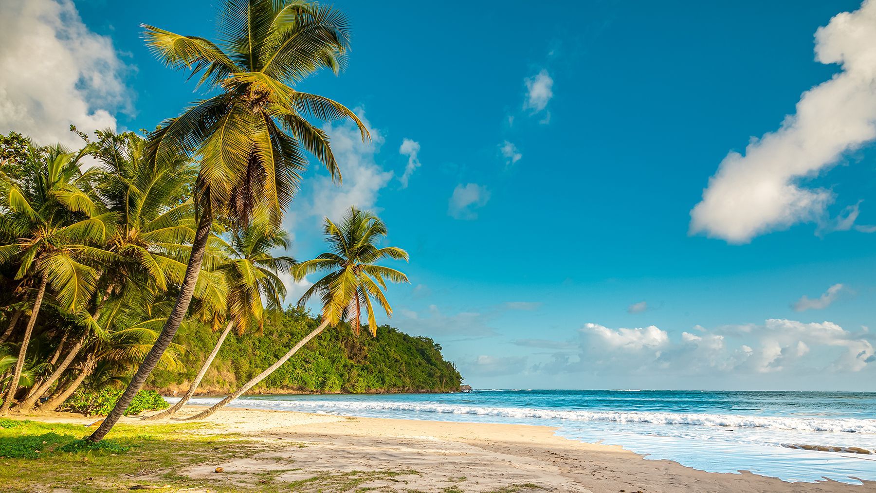 Grenada Beaches: The 9 Best Beaches on the Island to Soak in the Sun