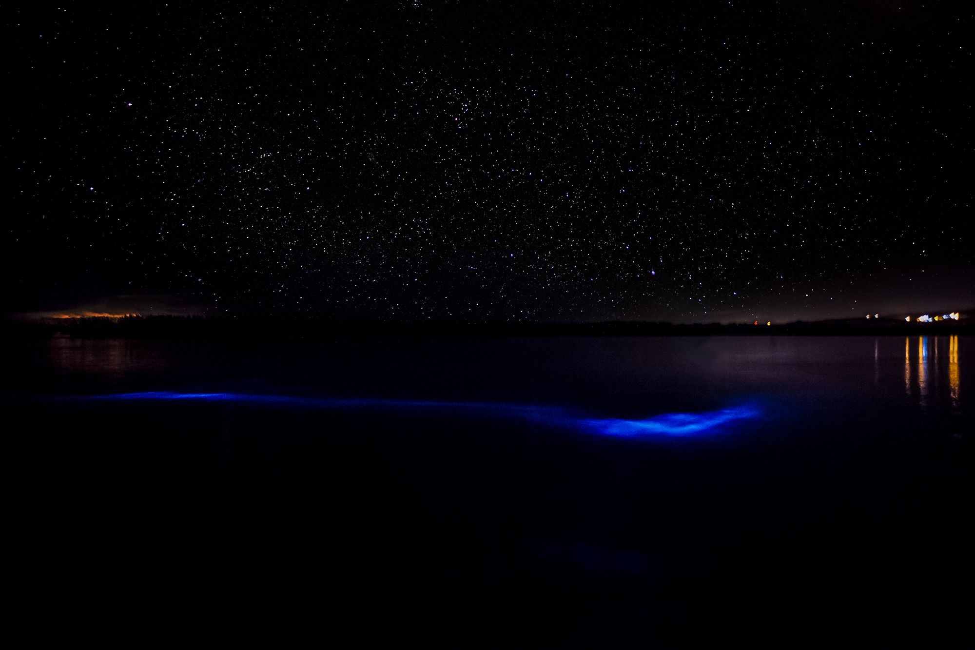 The Luminous Lagoon, Jamaica: A Natural Wonder Of The Caribbean!