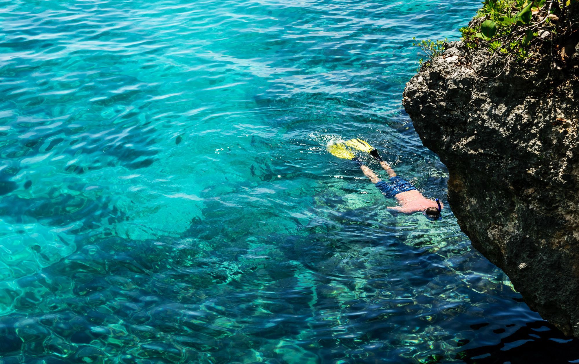 ¿Quieres las mejores vacaciones de buceo en Jamaica? ¡Aquí es donde empezar!