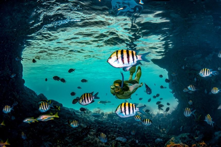 Snorkeling In The Bahamas? Here Are The 18 Best Snorkeling Spots In Nassau, The Exumas, Andros, And More!