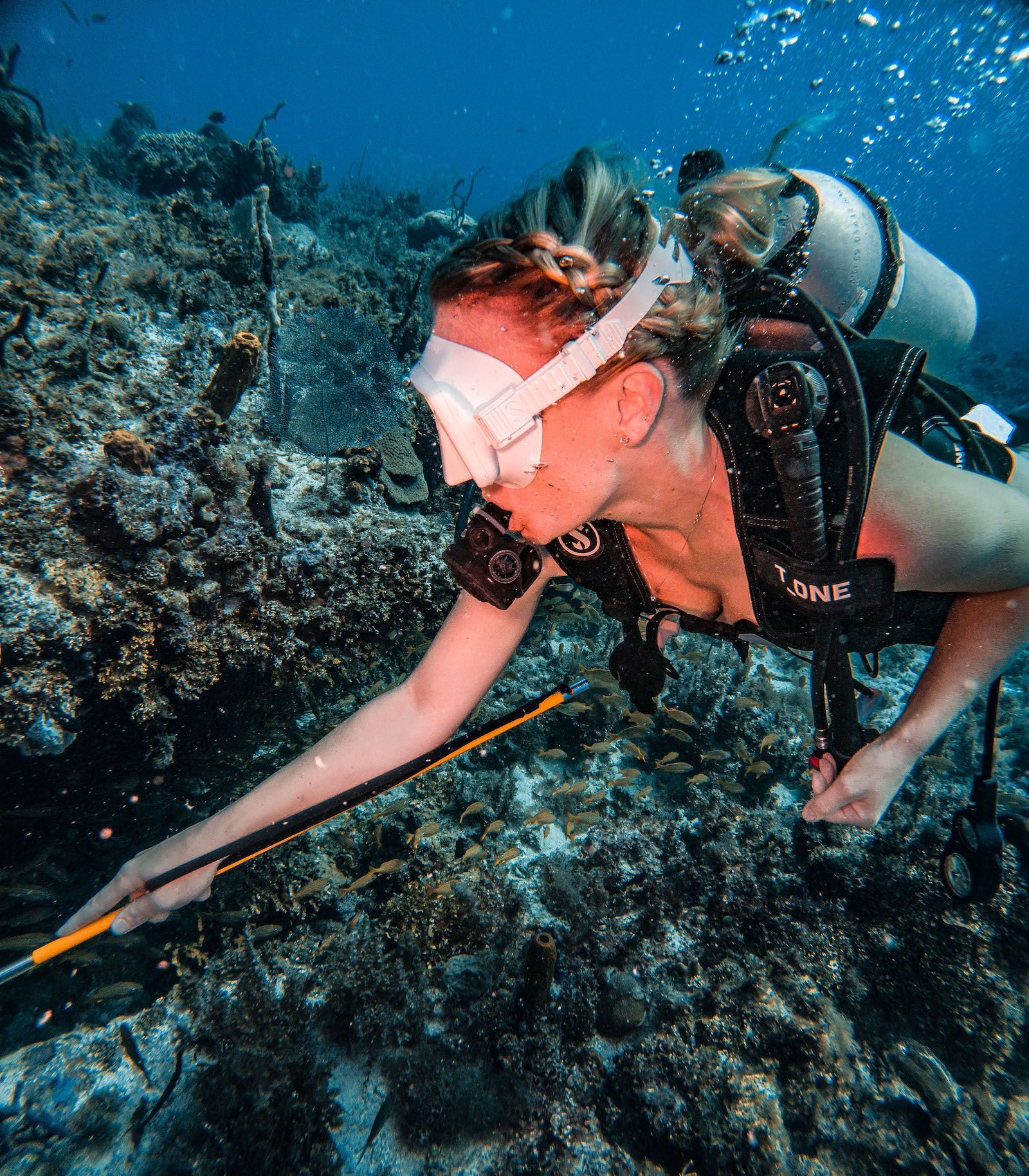5 Women to Know this PADI Women's Dive Day