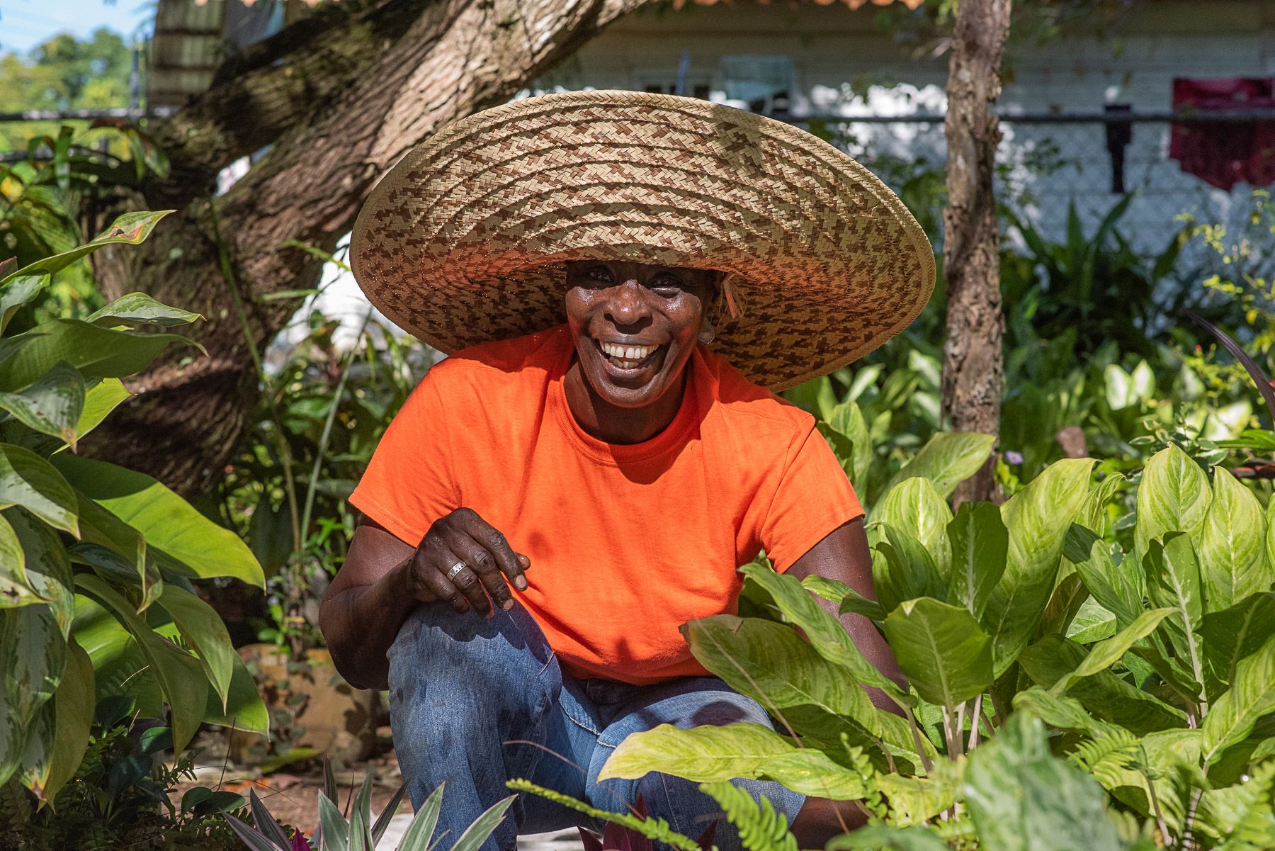 farmer-jamaica
