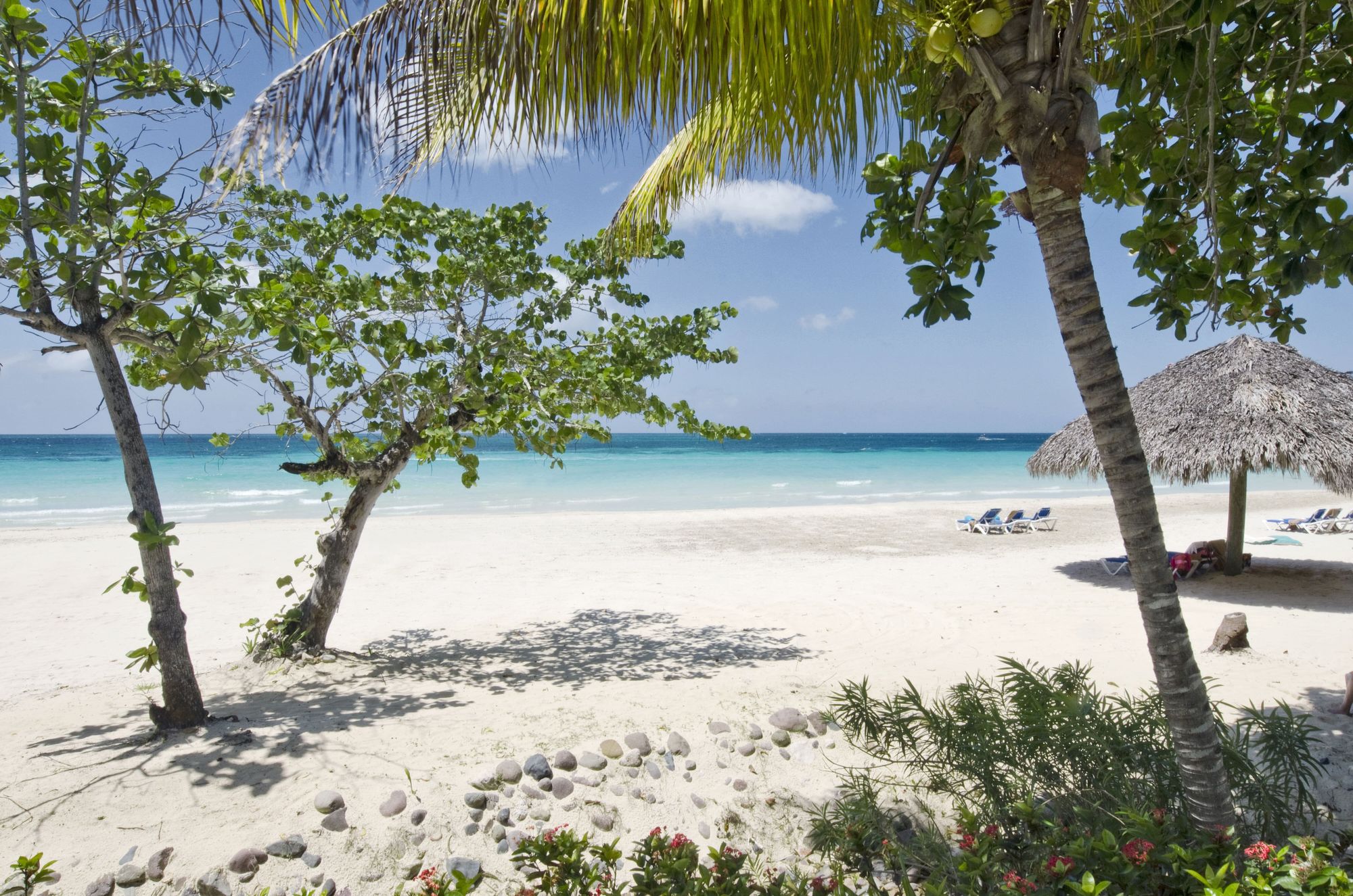 Barbados vs. Jamaica: Which Island Is Best For You?