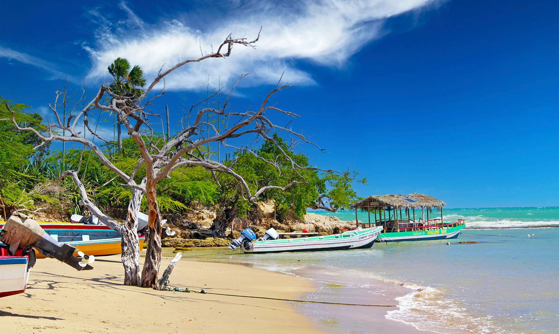 Jamaica-vs.-Punta-Cana--Fishing--Ralf-Liebhold