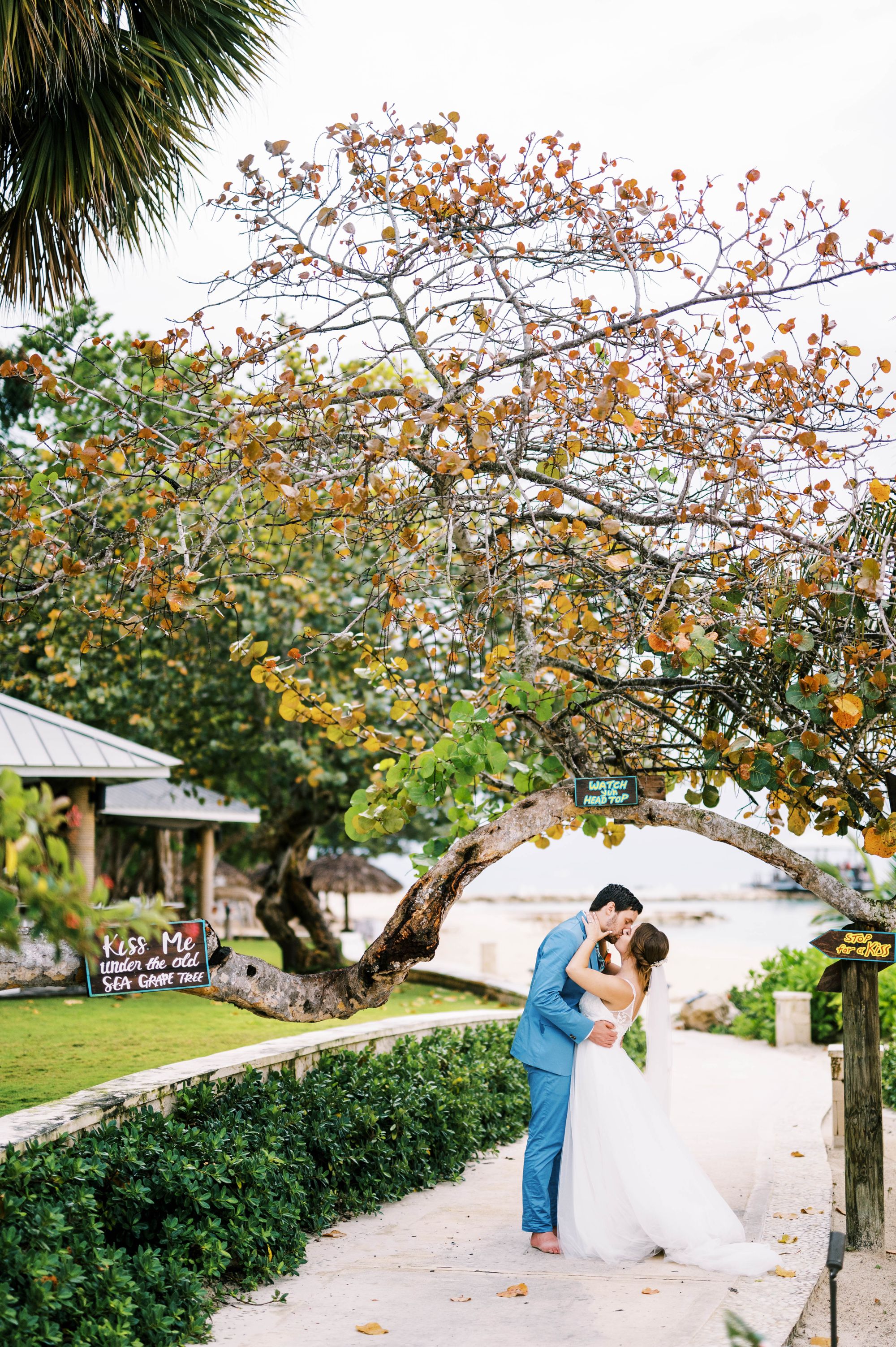 La nueva boda de cuento: tropical, hermosa e inimaginablemente asequible