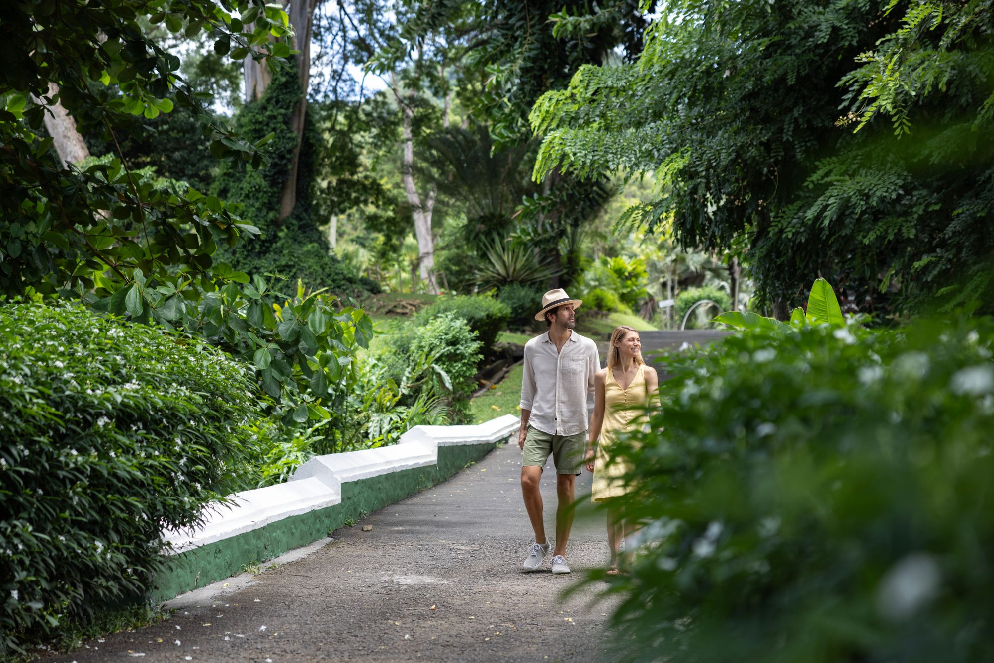 Descubra la magia tropical de los jardines de Montreal Saint Vincent