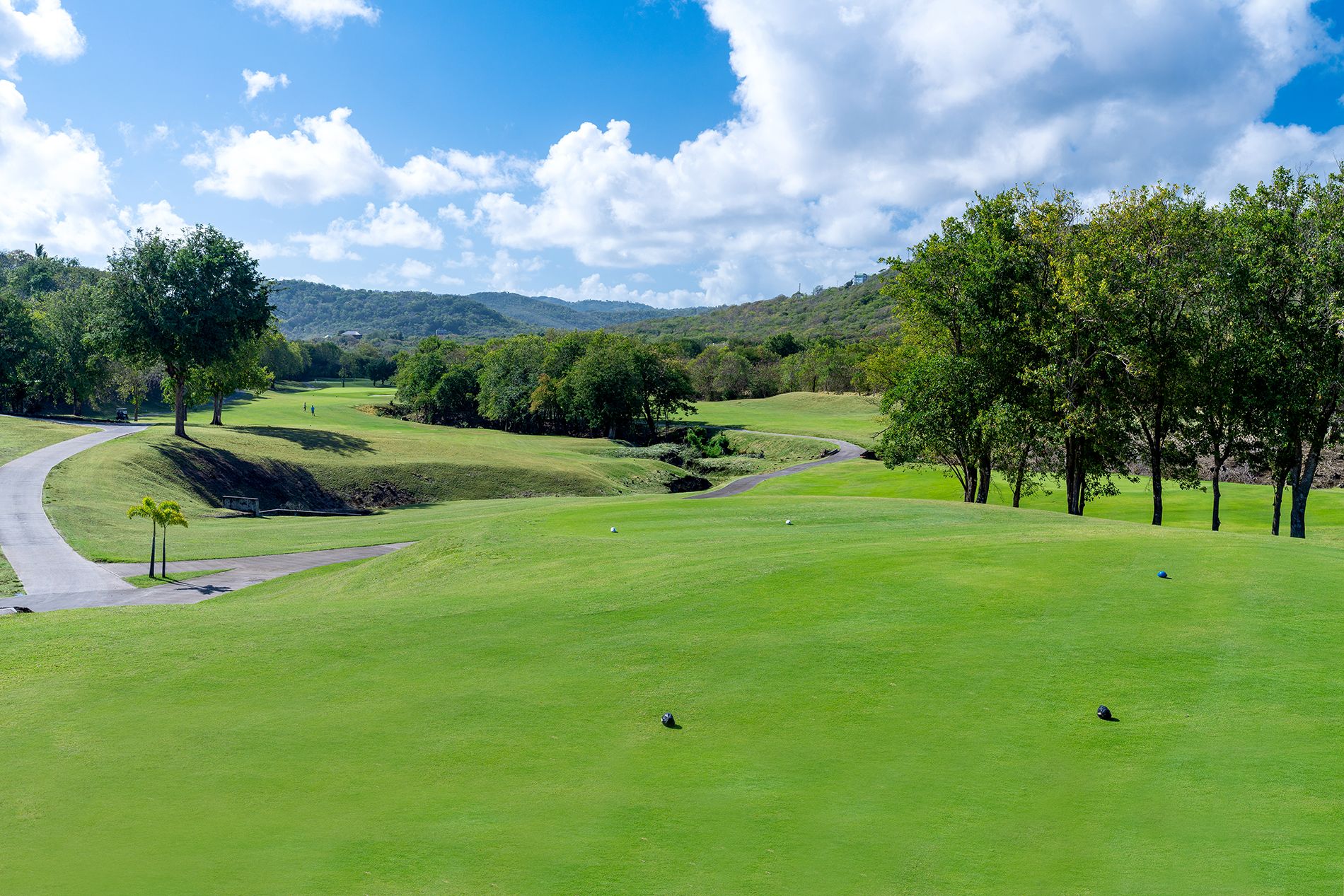 Play Golf in St. Lucia: The Best St. Lucia Golf Courses | Sandals