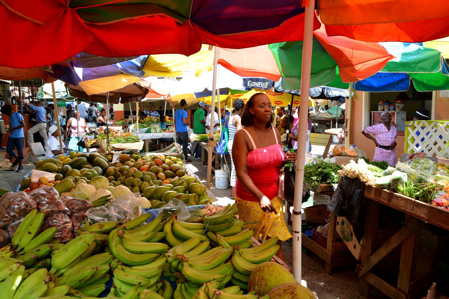 19 Beautiful Things Saint Lucia Is Known For