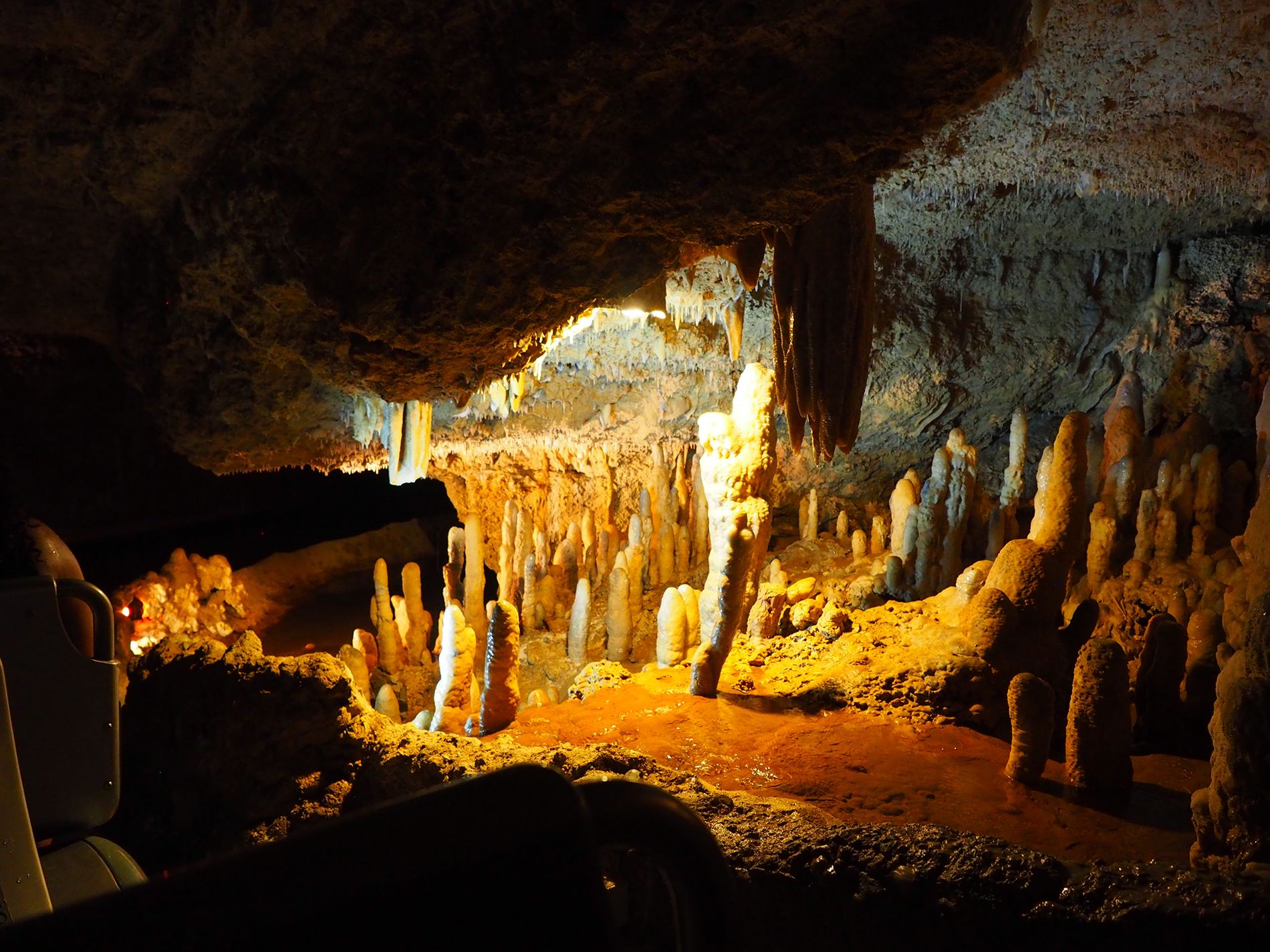 Fishing-in-Barbados--ecology-of-the-cave--Pornprapa-Korprasert