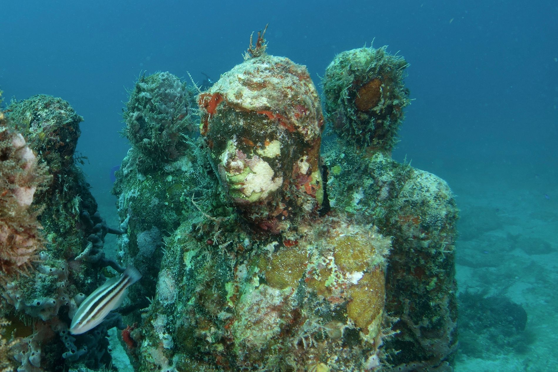 Grenada-Parque de esculturas submarinas--deslízate-silenciosamente por encima--Krofoto