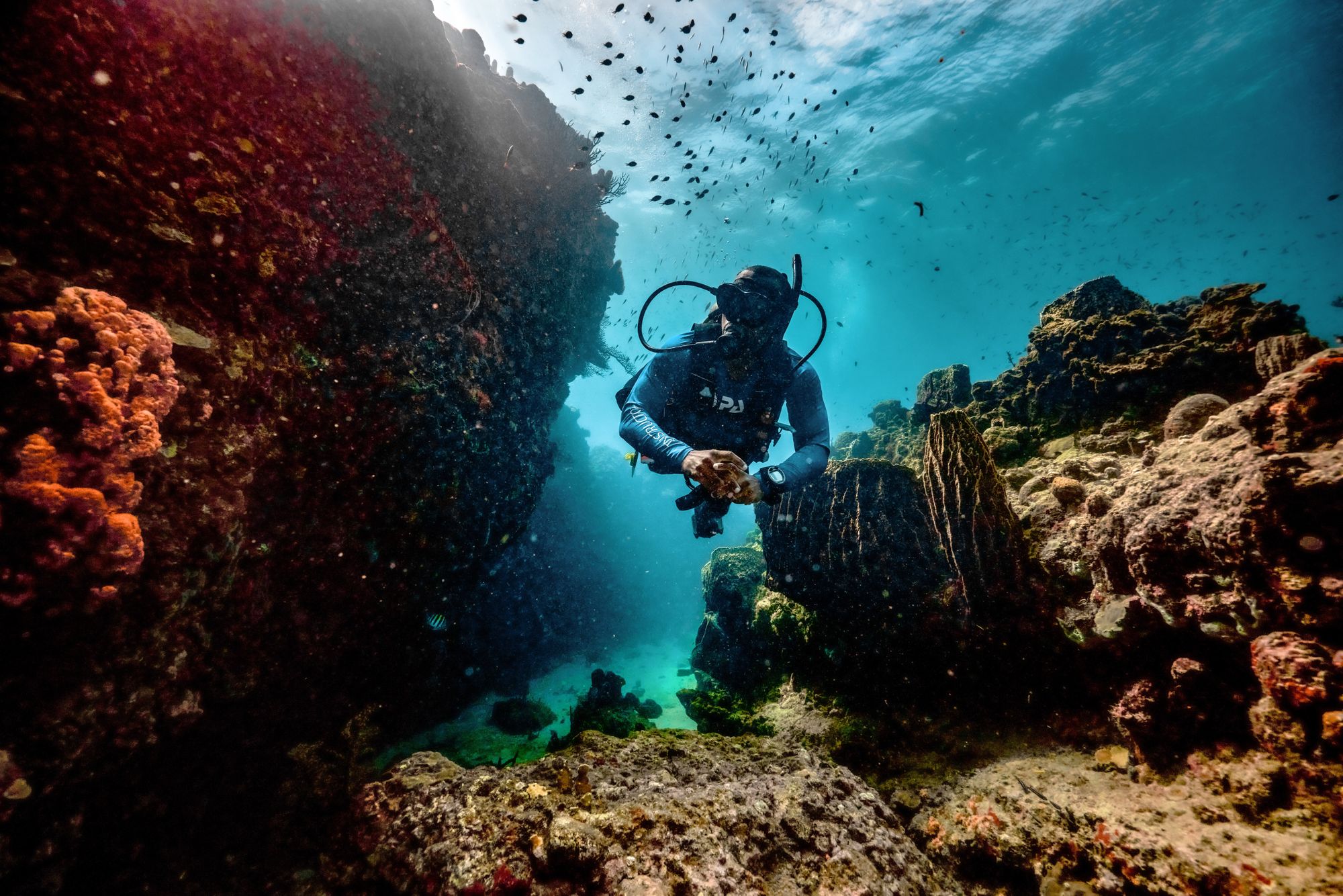 Saint-Lucia---Scuba-Diving---Sandals-Resorts72--1-