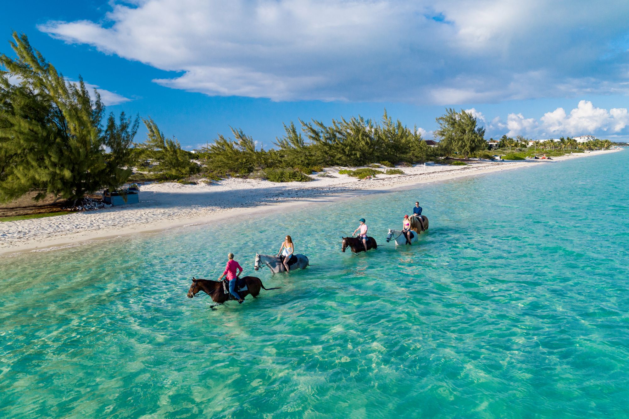 Group of people horseback riding in Caribbean