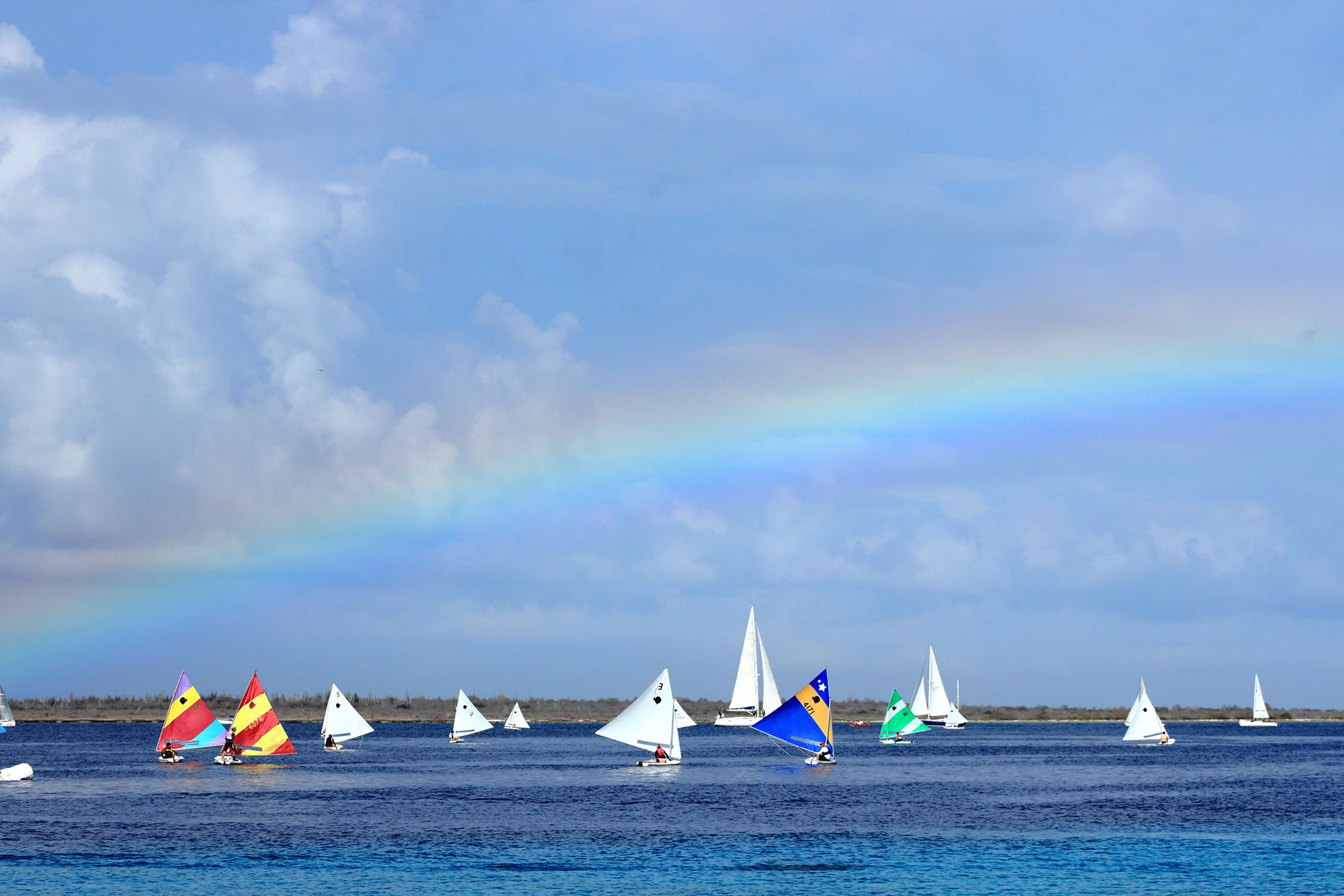 Exploring-Willemstad--regatta--TimAruba