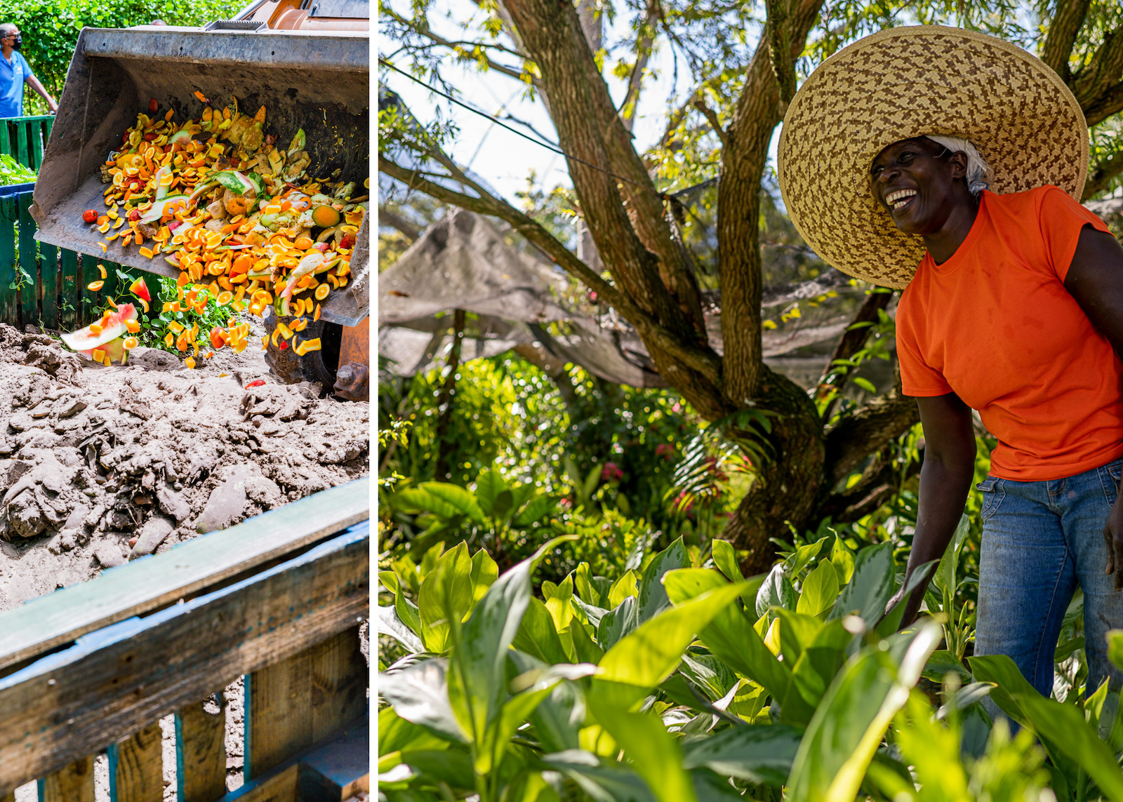 Sandals-Foundation---Compost-and-Grow