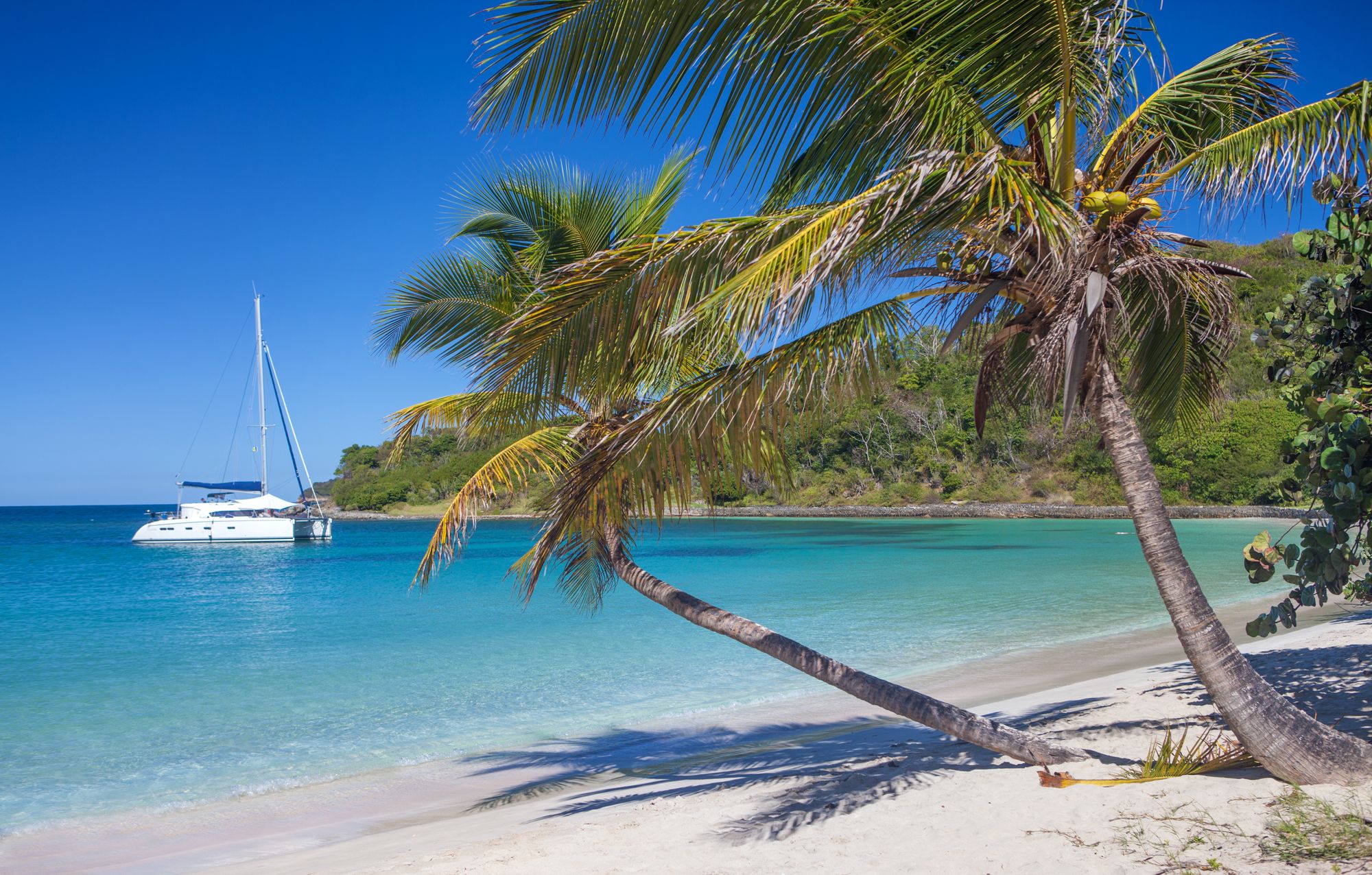 Island Gems In Plain Sight: The Best Beaches In Saint Vincent & The Grenadines!