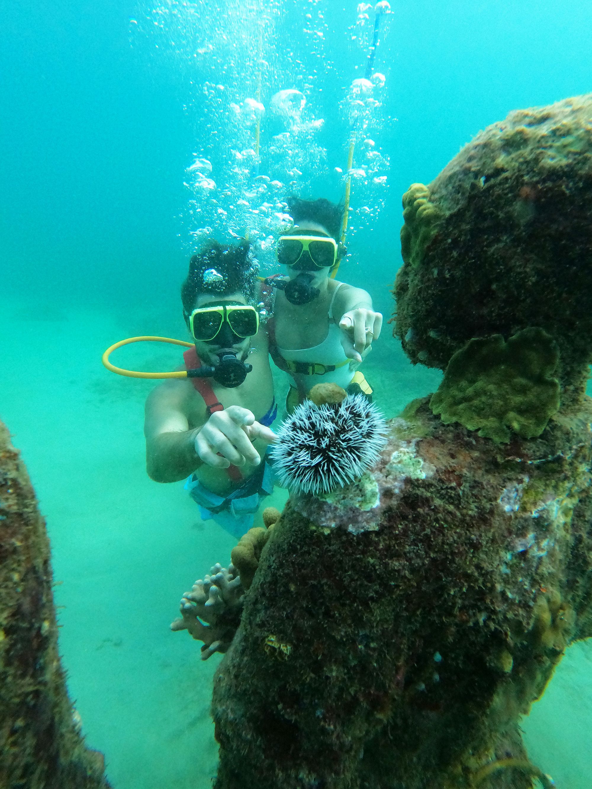 Underwater Sculpture Park Grenada