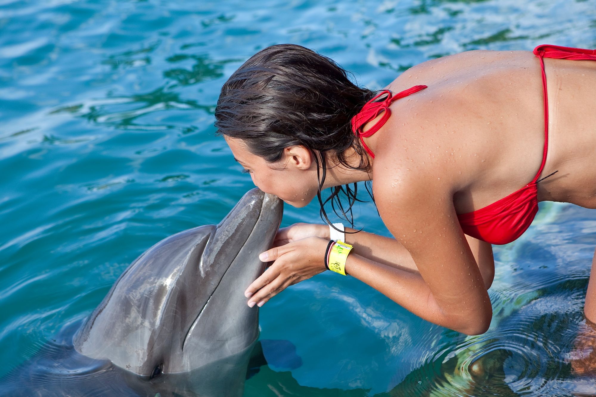 Woman kissing dolphin