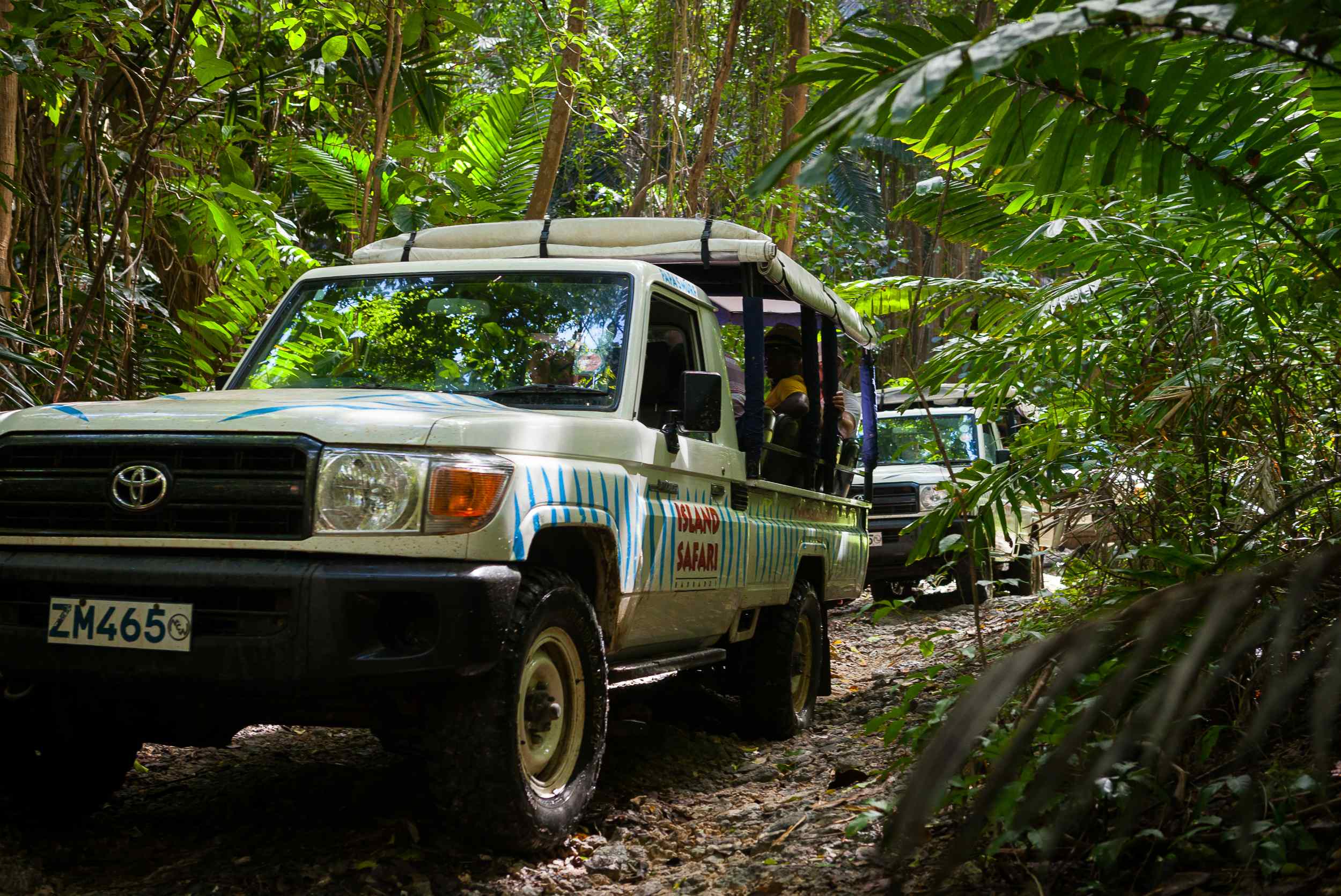 Island-Safari-Barbados