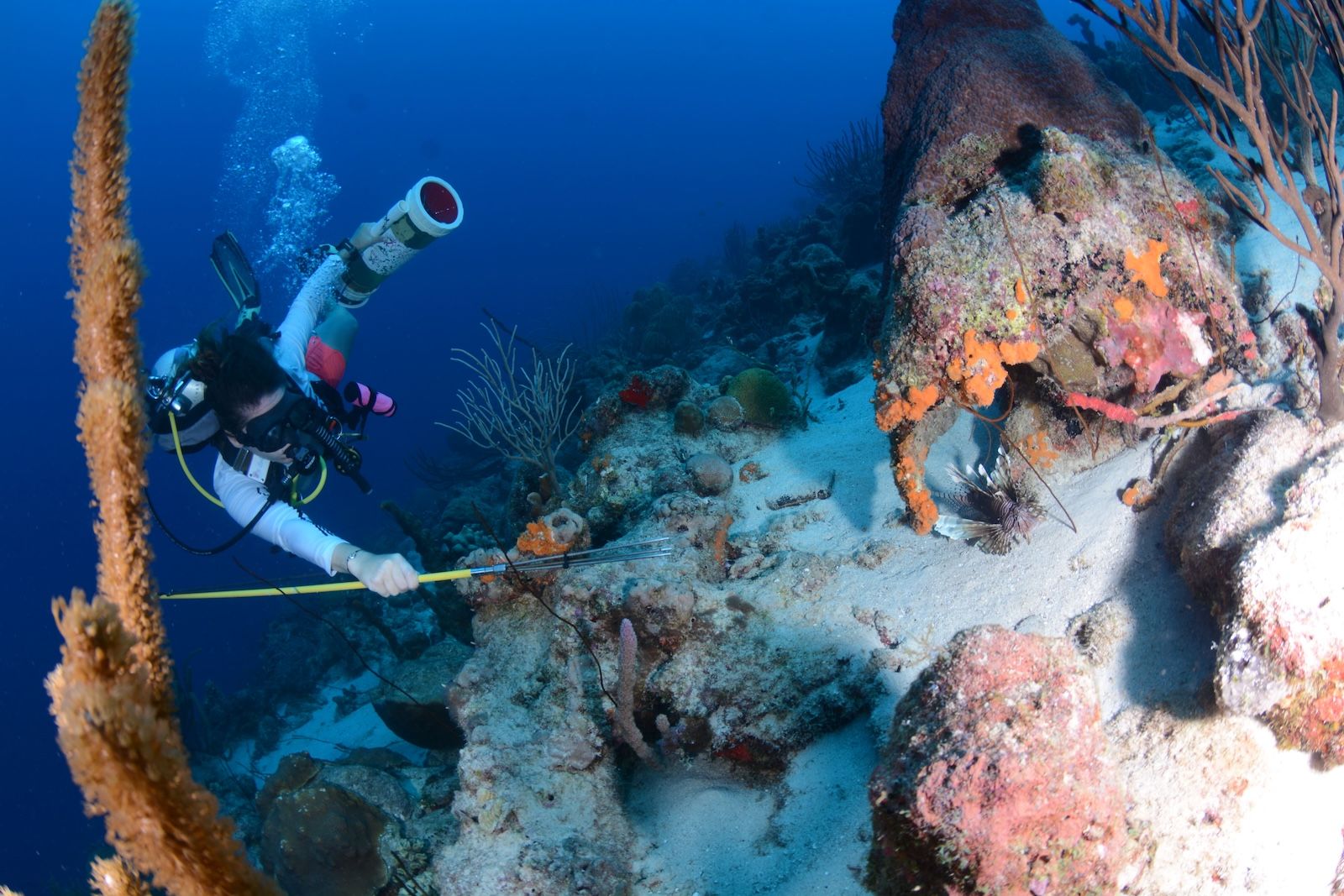 Lisette-Aiming-for-a-Lionfish-Photo_-Turtle-Ray