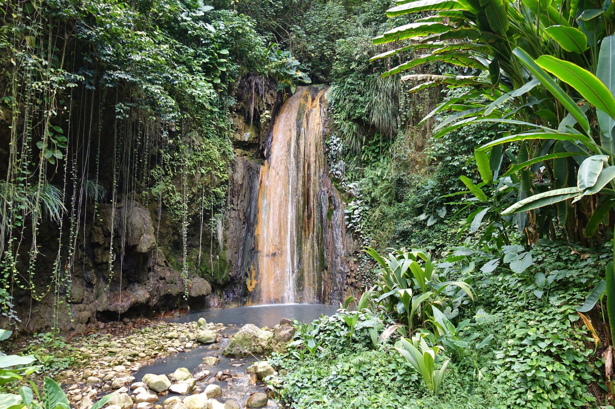 Diamond Falls Botanical Gardens