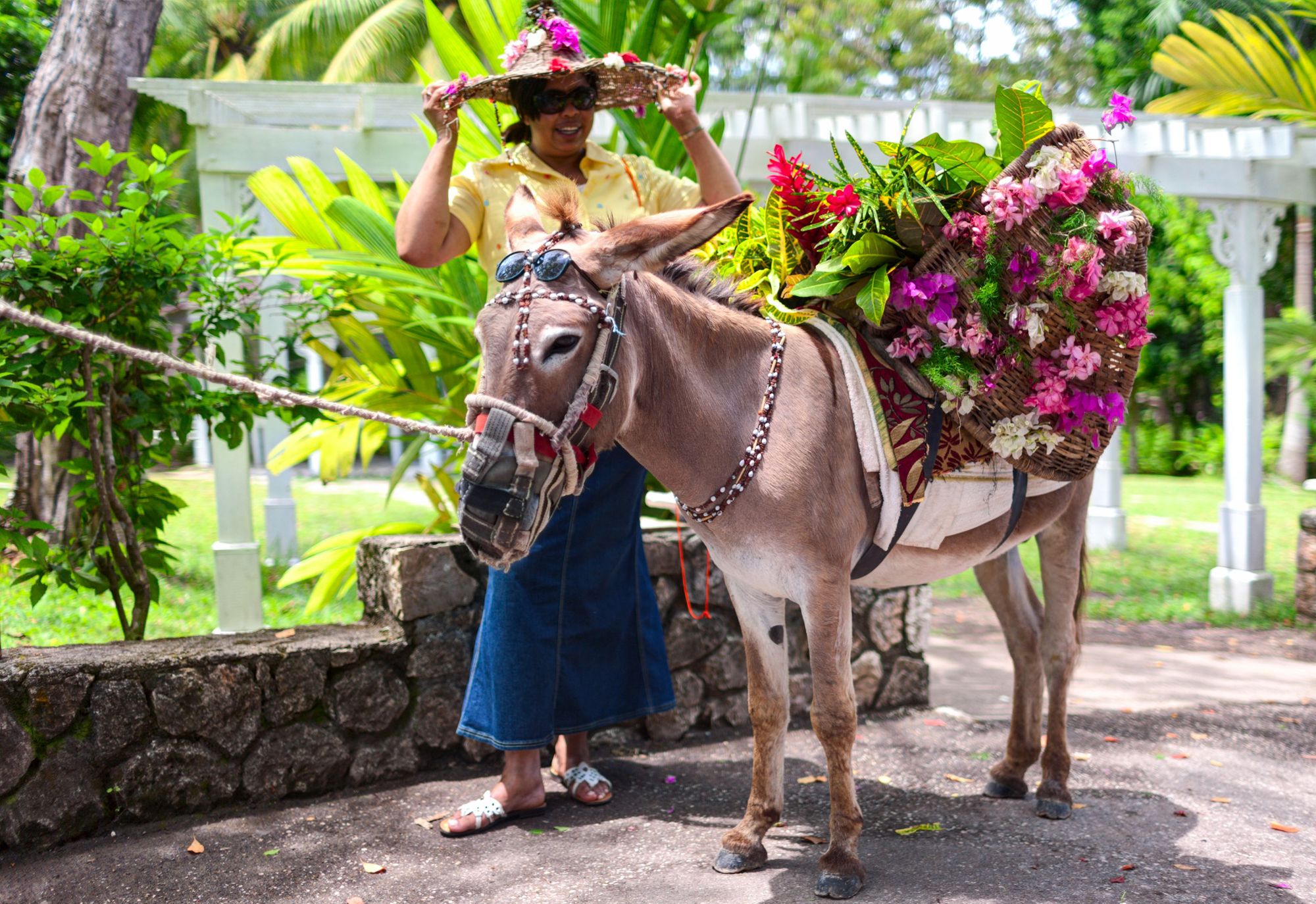 Saint Ann woman with donkey