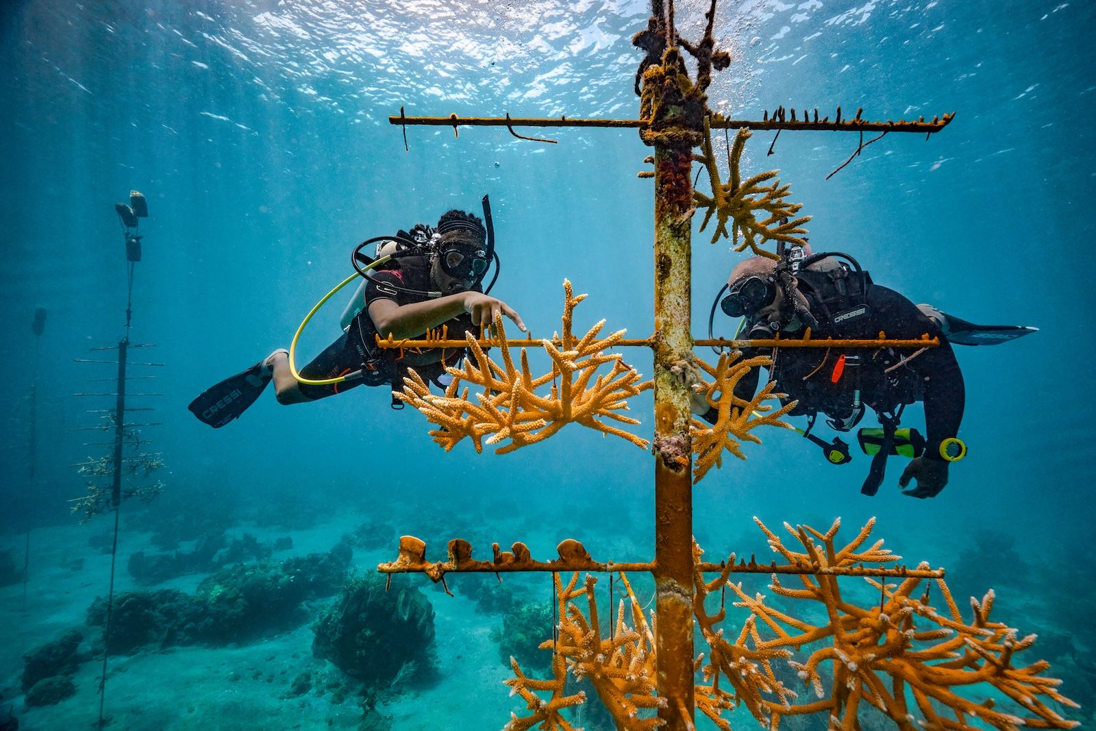 coral-restoration-sandals-Foundation-saint-lucia-9