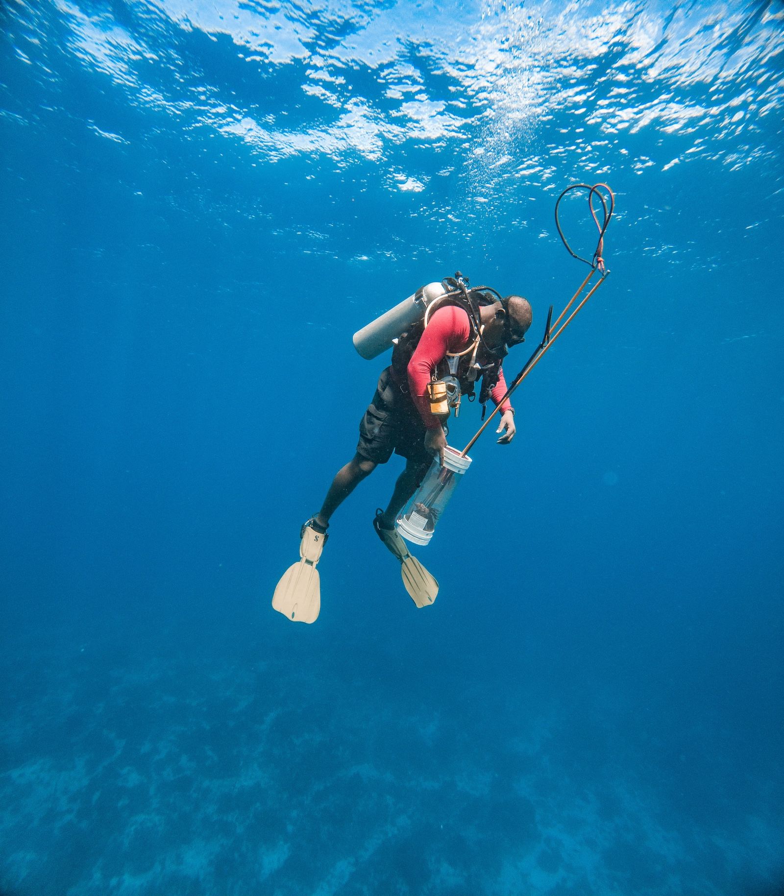 man-in-ocean-with-scuba-gear-holding-caught-lionfish