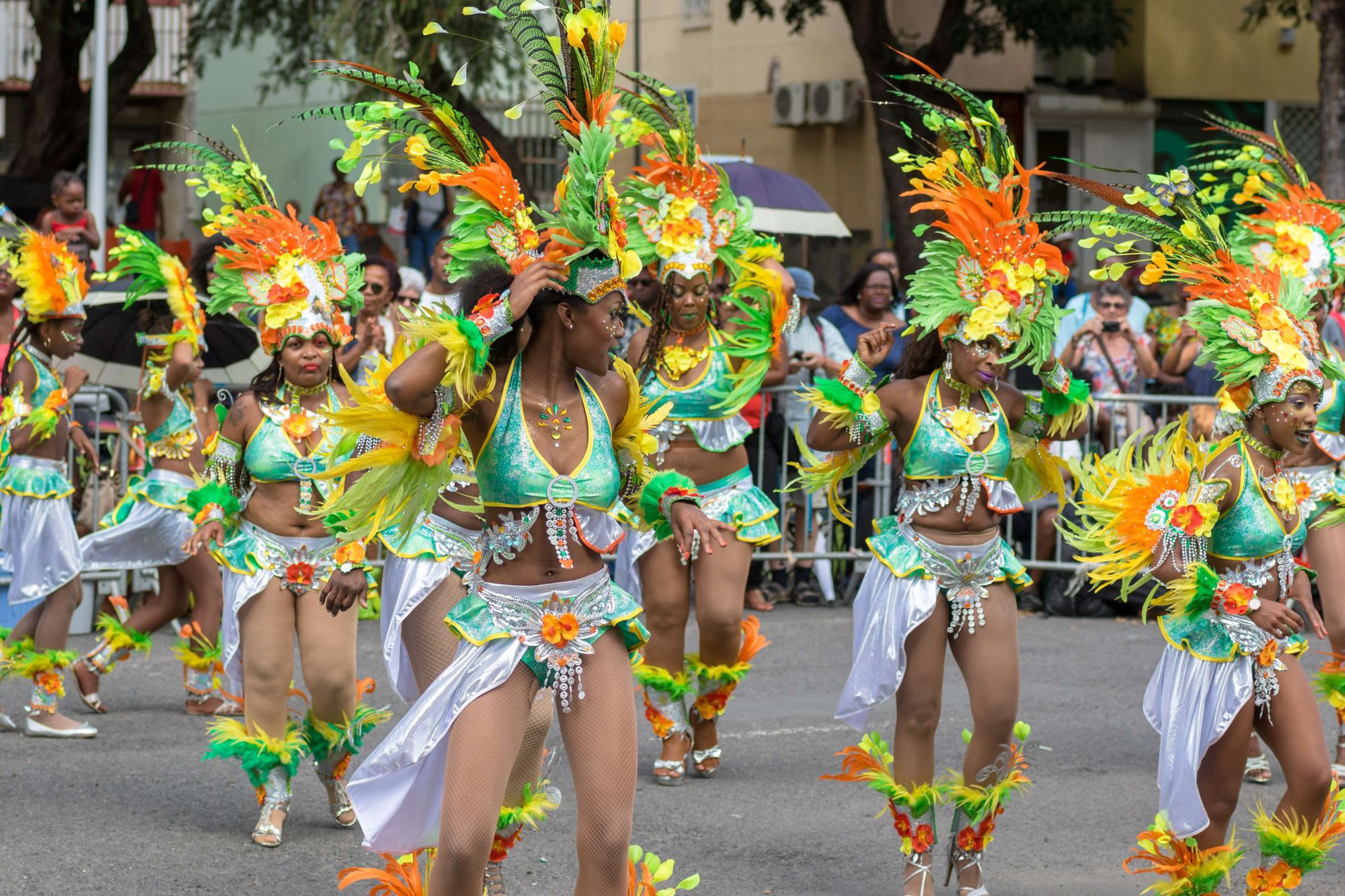 Guadeloupe--Kaca-Skokanova-