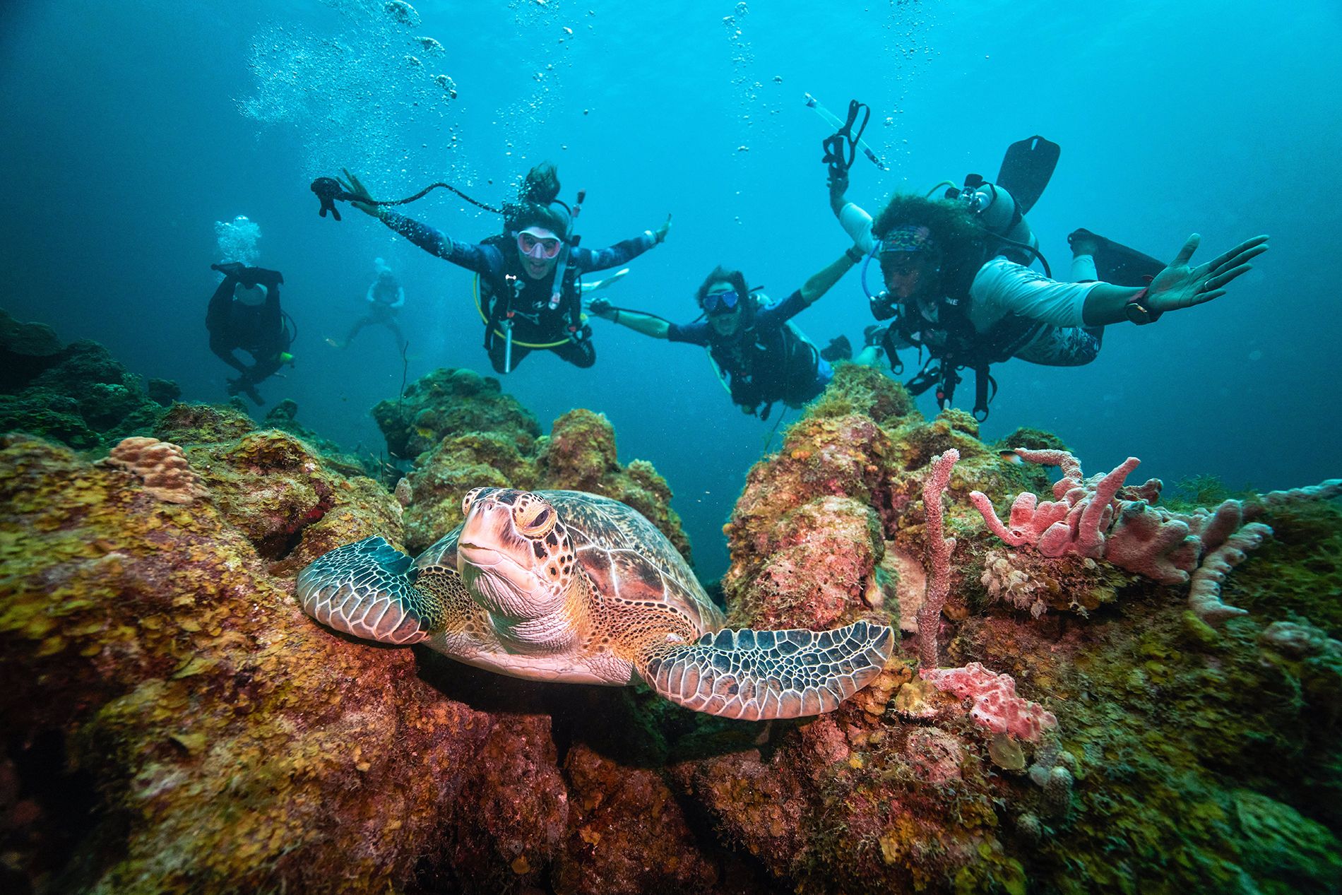 sandals-curacao-scuba-4-1