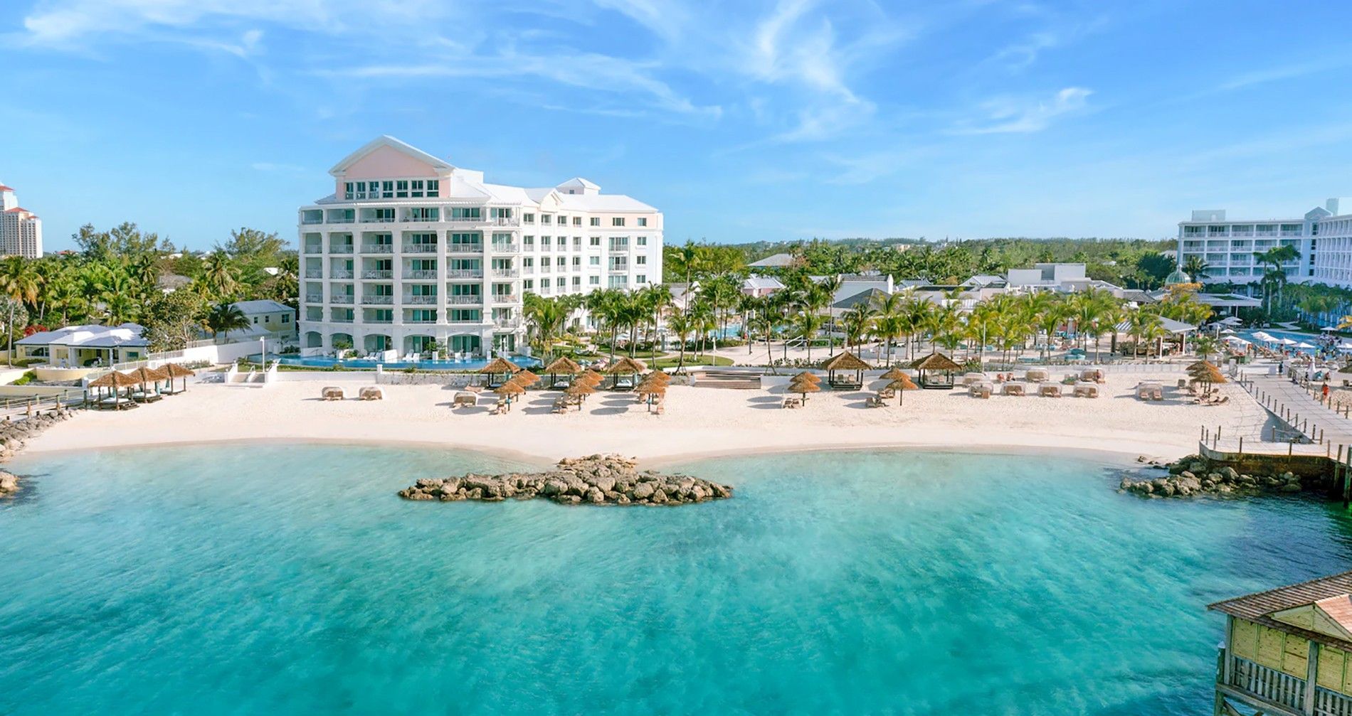 Adorable, Wild, & Fun - Here’s How To Meet The Swimming Pigs Of The Bahamas!