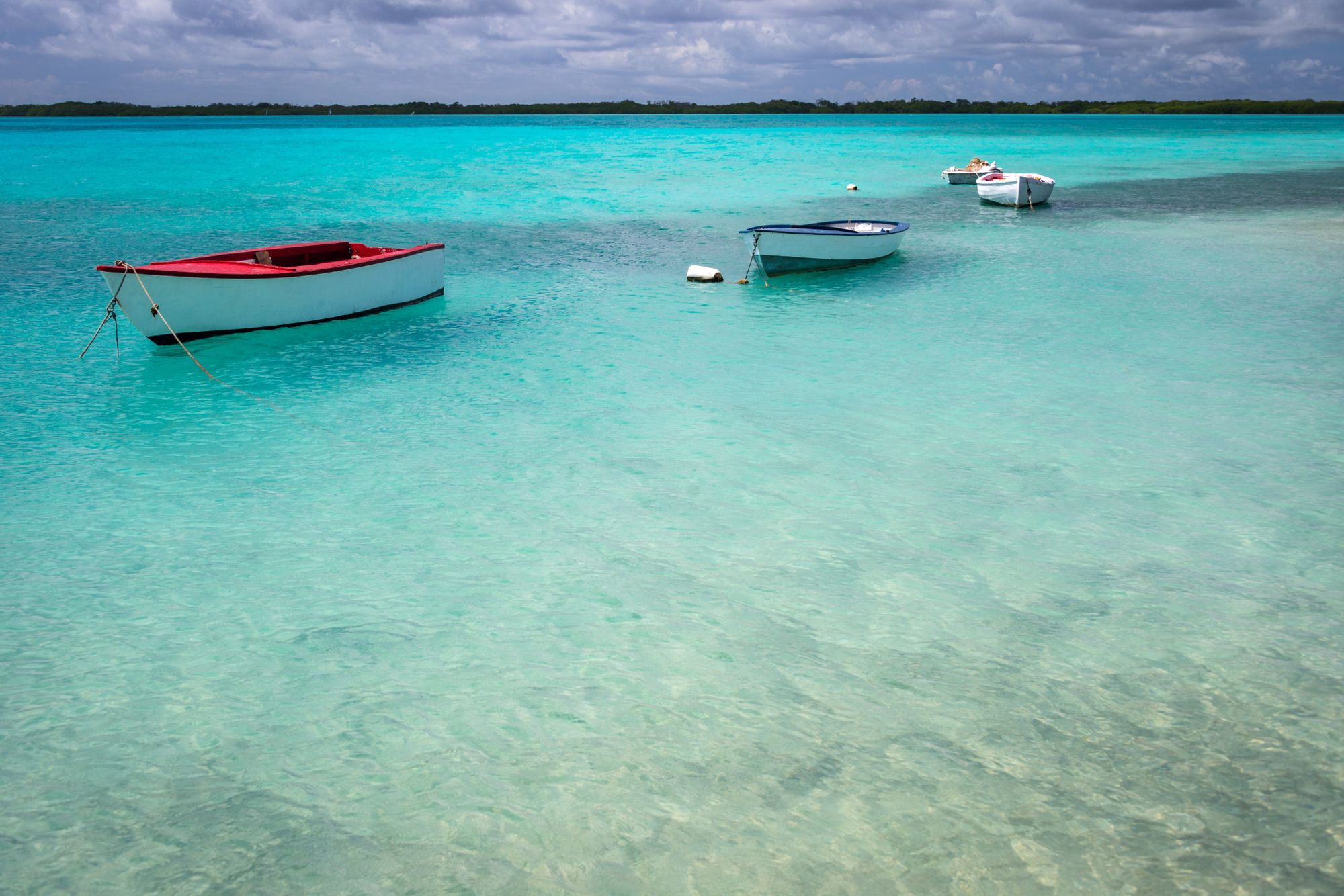 The Best Snorkeling In The Caribbean For An Exceptional Underwater Adventure