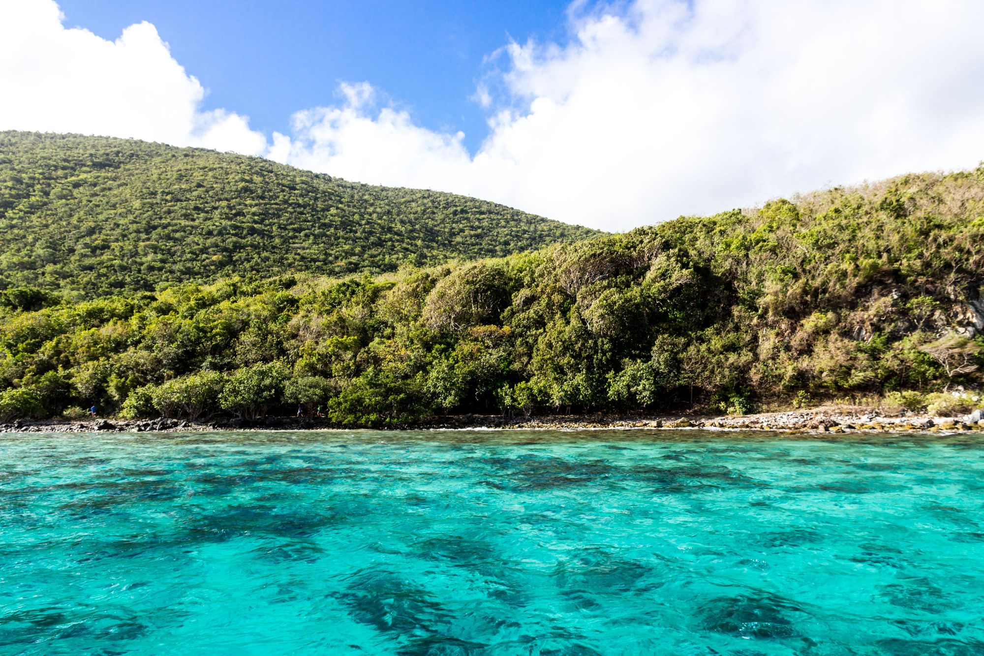 The Best Snorkeling In The Caribbean For An Exceptional Underwater Adventure