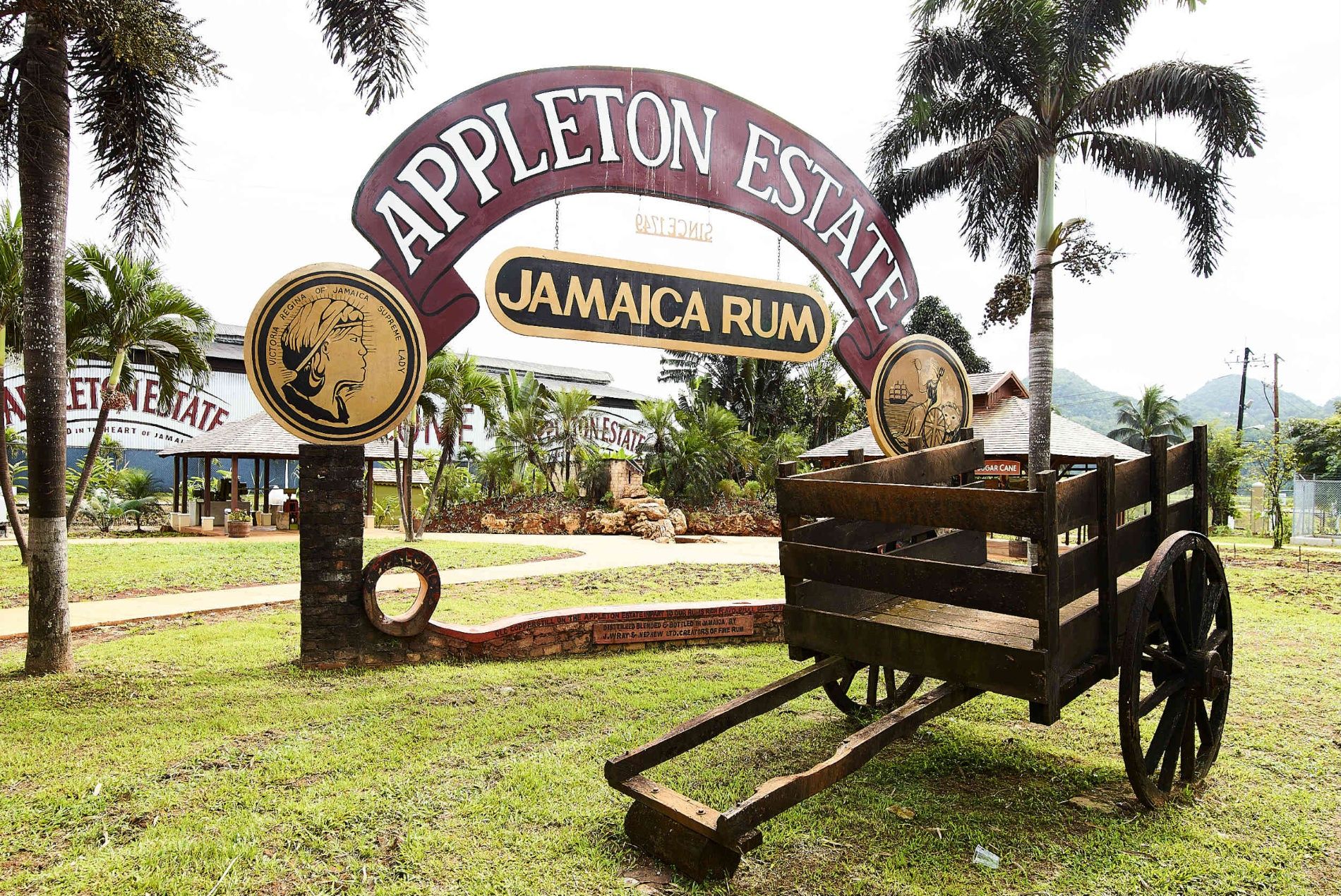 jamaica-appleton-estate-51