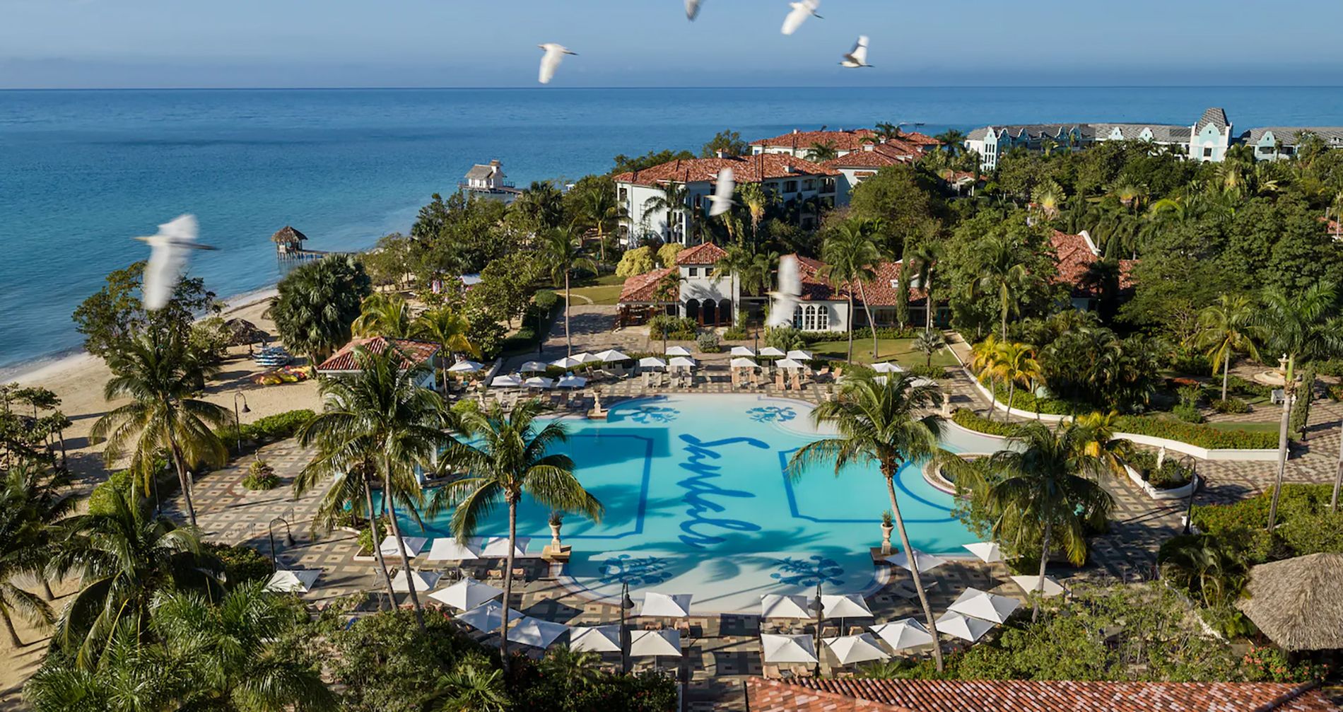 sandals-south-coast-birds