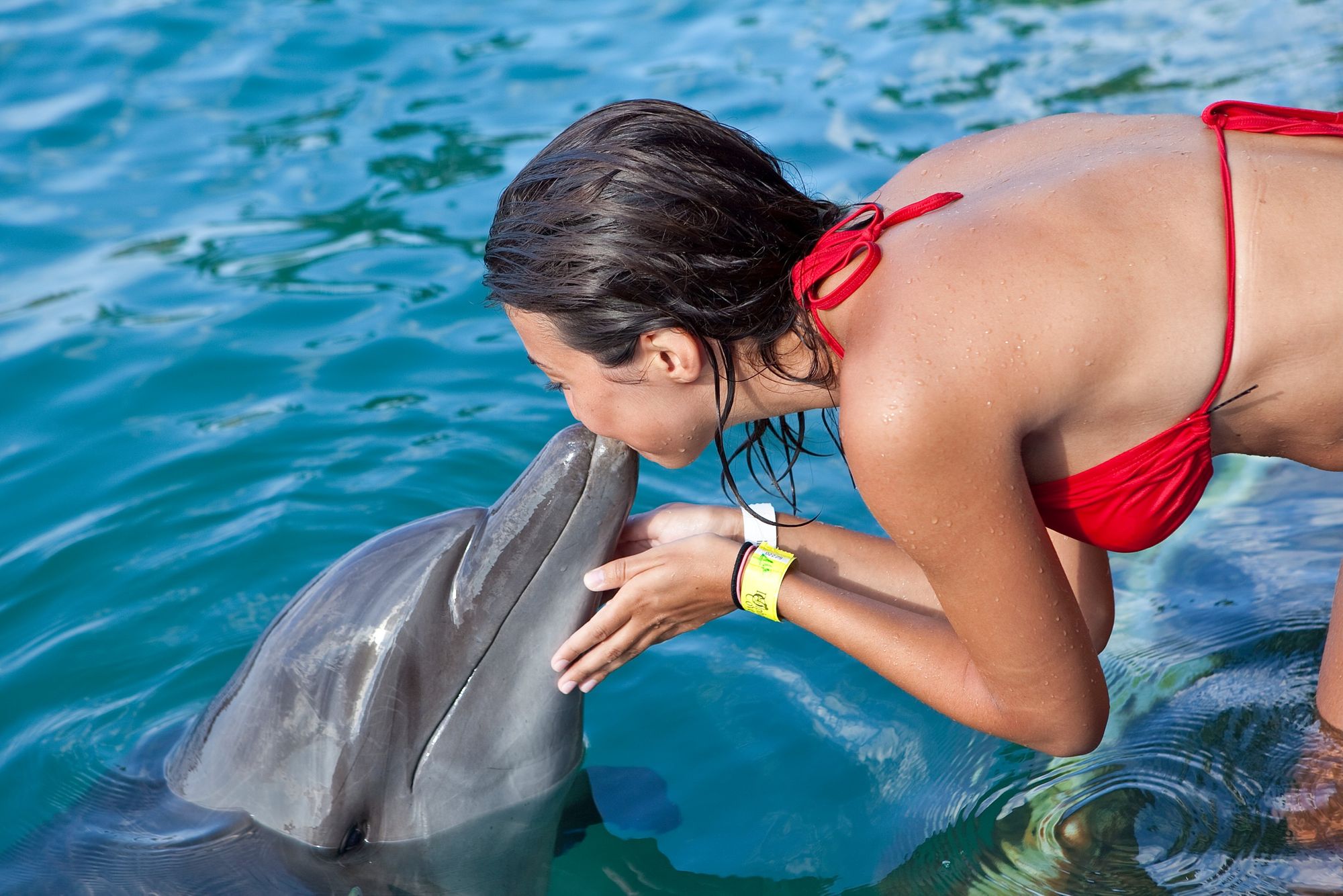woman kissing dolphin