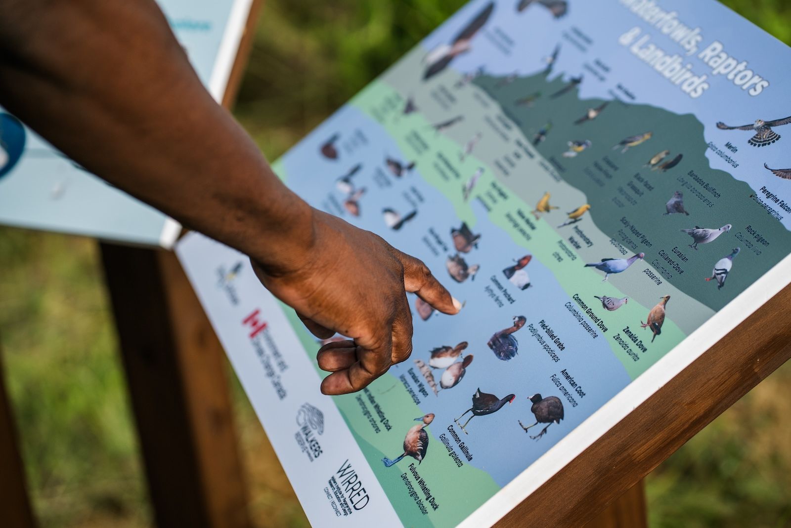 Sandals-Resorts-and-Sandals-Foundation-Earthday4