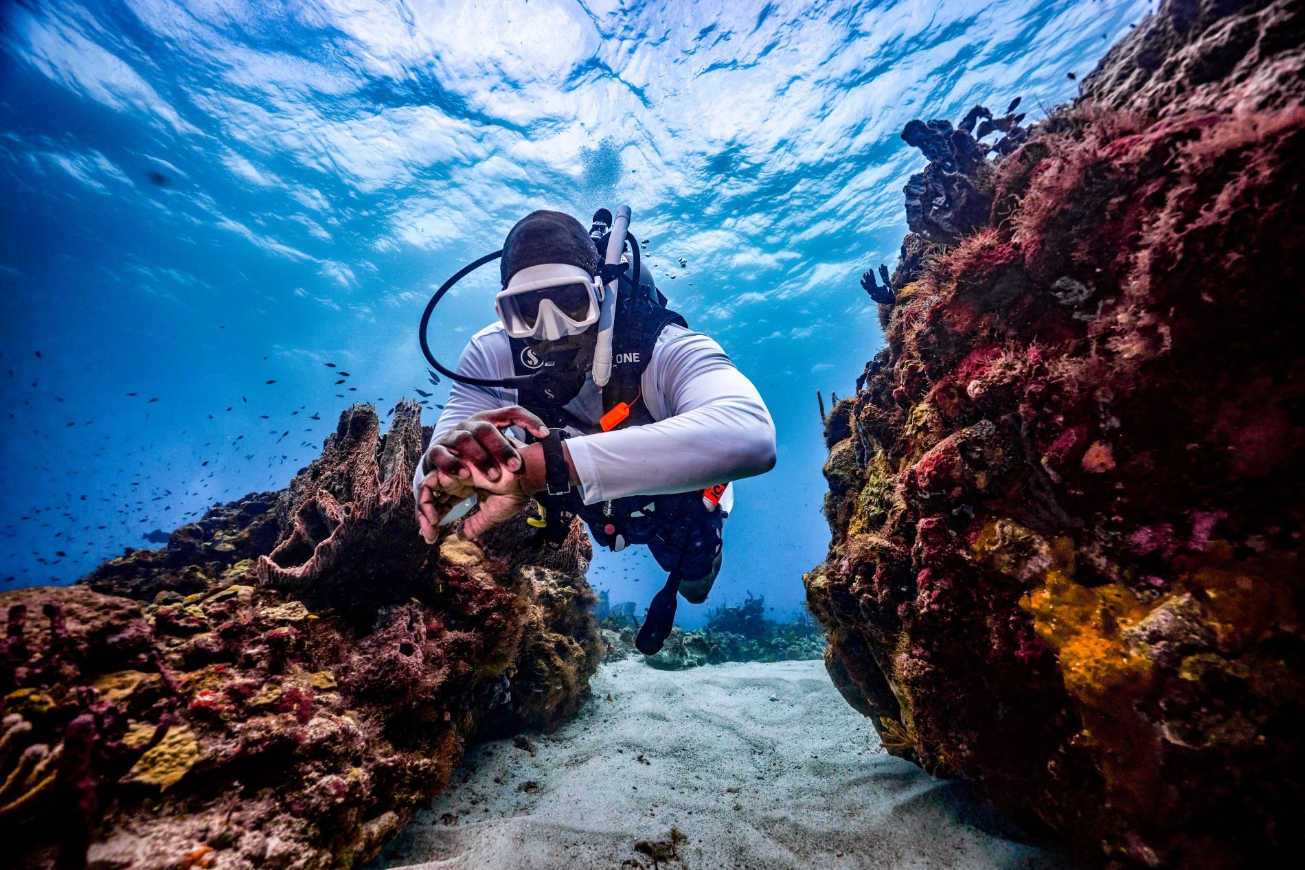 saint-lucia-snorkel-coral-reef-1-1