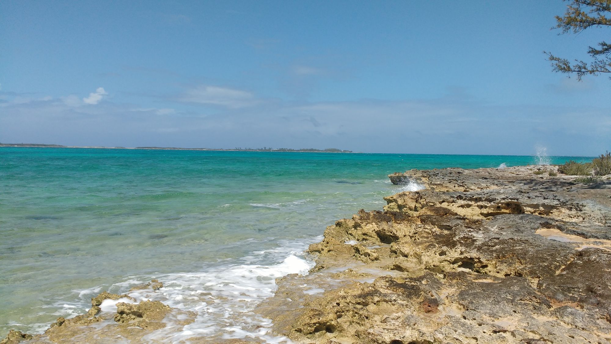 shutterstock_1072808744