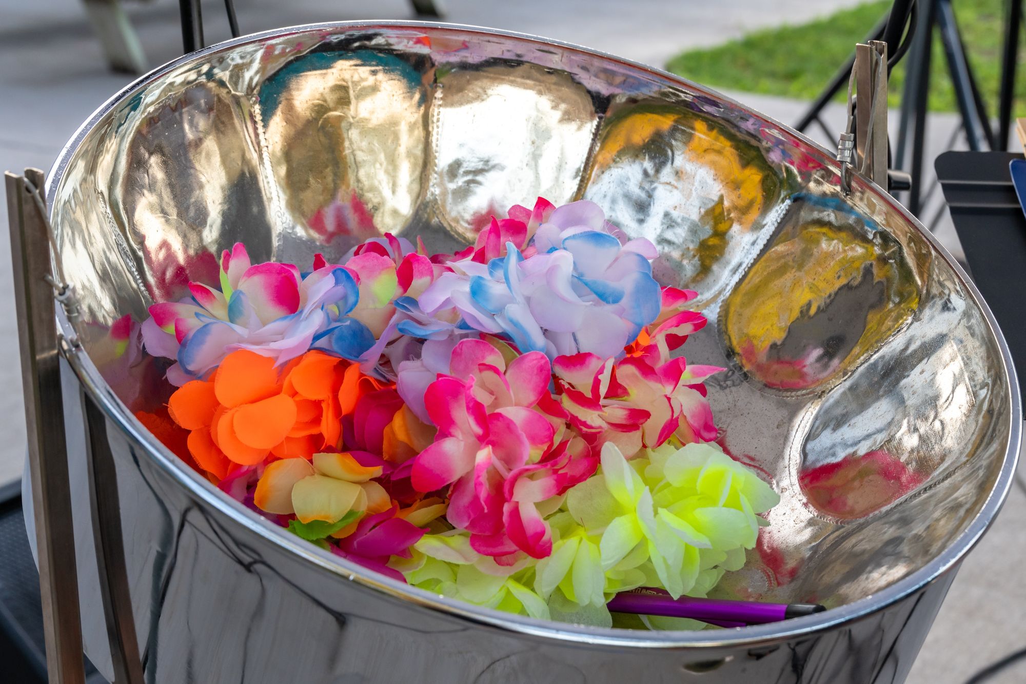 shutterstock_2377796301