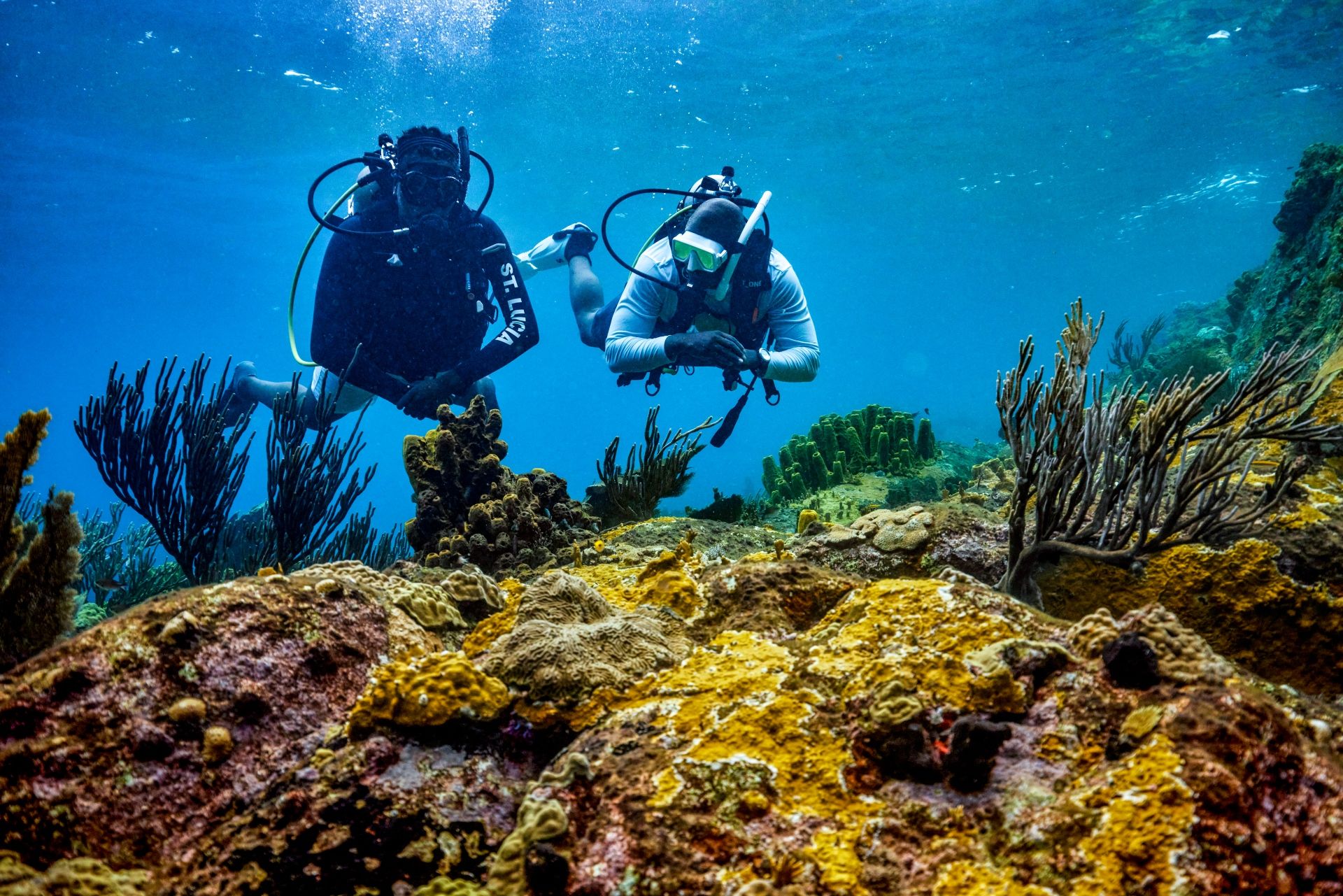 Scuba-PADI-Two-Divers-Over-Corals-56